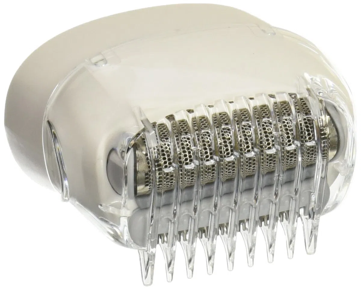 Braun Scherkopf, 67030799