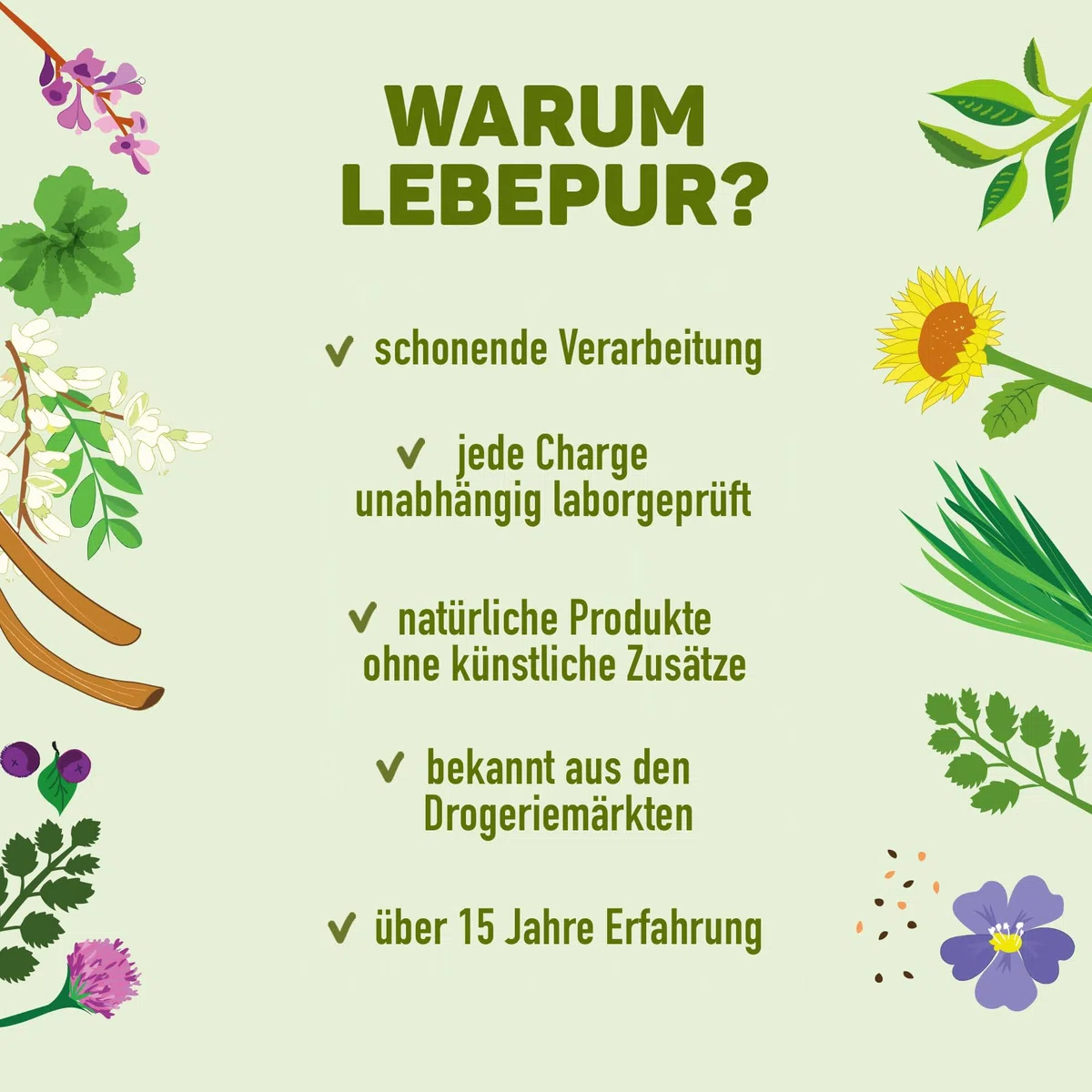 Lebepur BIO 3K Protein Pulver vegan 1kg - NEUTRAL - SOJAFREI - 80% Eiweiß aus Erbsenprotein, Reisprotein und Hanfprotein - ohne Zusatzstoffe, ohne Süßungsmittel - laborgeprüft, glutenfrei