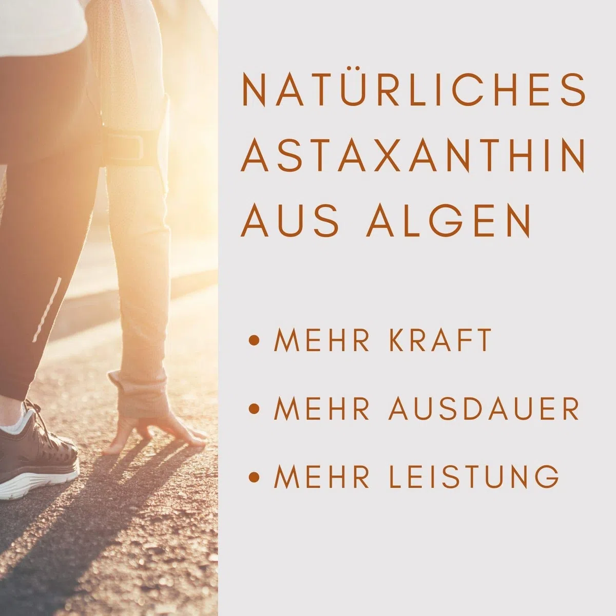 VitalAstin Astaxanthin 600 Kapseln I Das Original - Ivarssons VitalAstin mit 4 mg natürlichem Astaxanthin