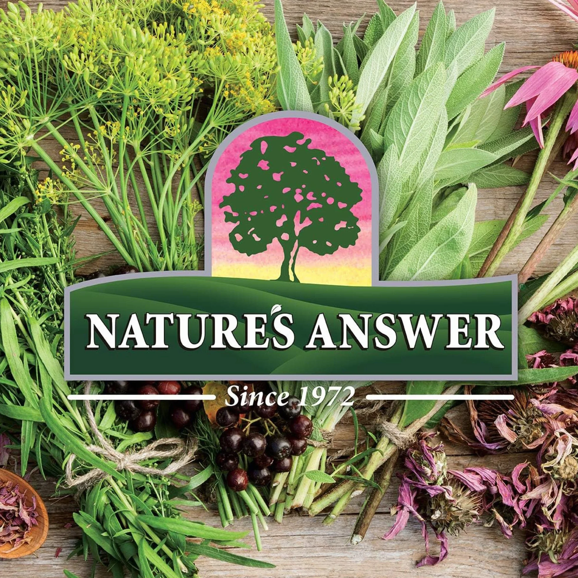 Nature's Answer, Gotu Kola, 90 vegane Kapseln, 950mg Gotu Kola je Dosis, Glutenfrei, Sojafrei, GMO frei, Geschmacksneutral