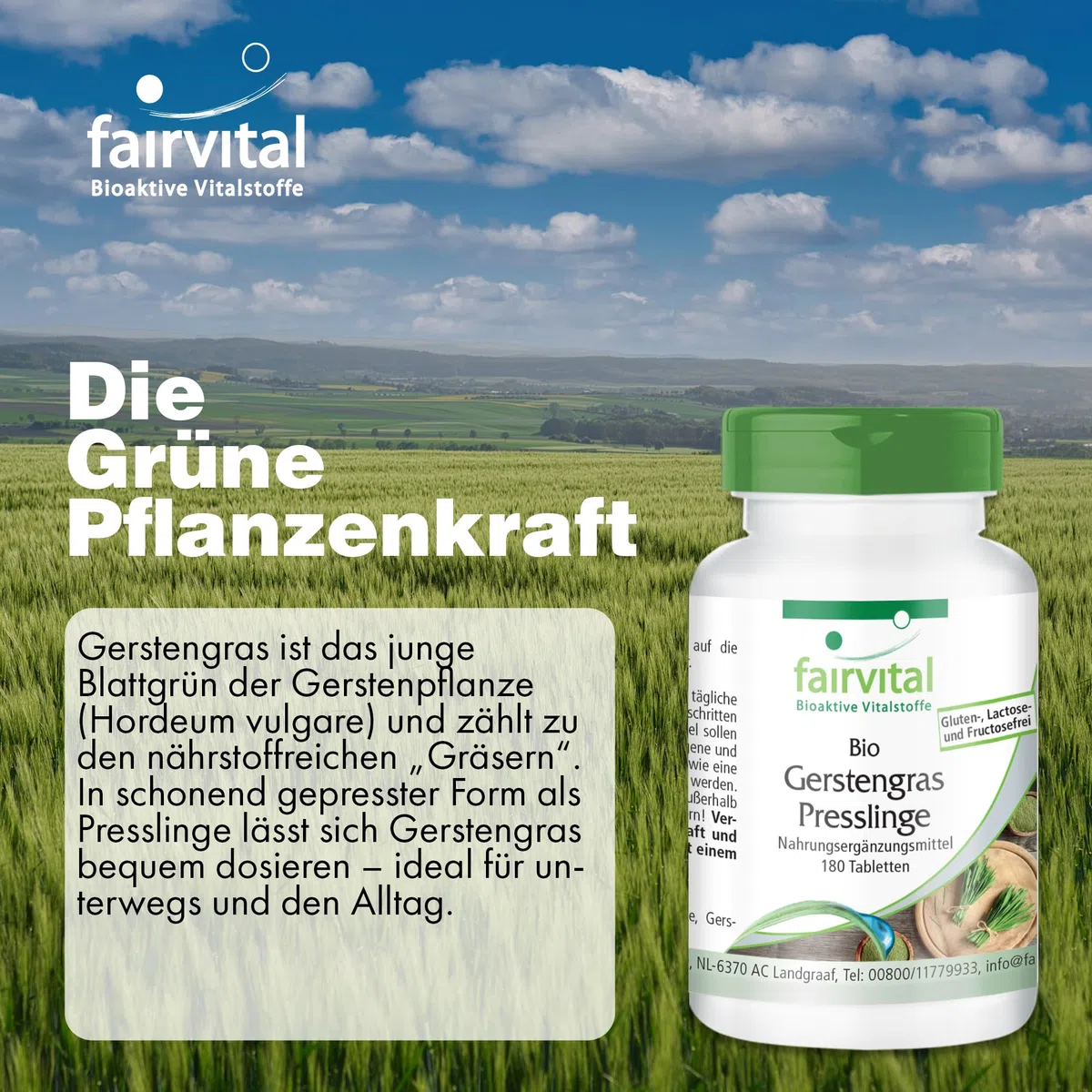 fairvital Bio Gerstengras Presslinge, 180 Tabletten, Hoch bioverfügbar, qualitätsgeprüft und hochdosiert, 100% vegan, Made in Germany