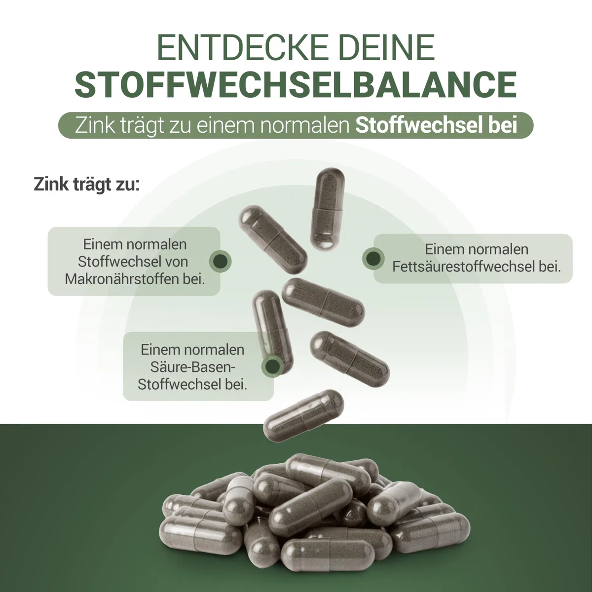 60 Kapseln - Stoffwechsel-Komplex mit Zink, Artischocke & Löwenzahn - Für Fettstoffwechsel & Säure-Basen-Haushalt - Bitterstoffe, vegan, tibetische Rezeptur