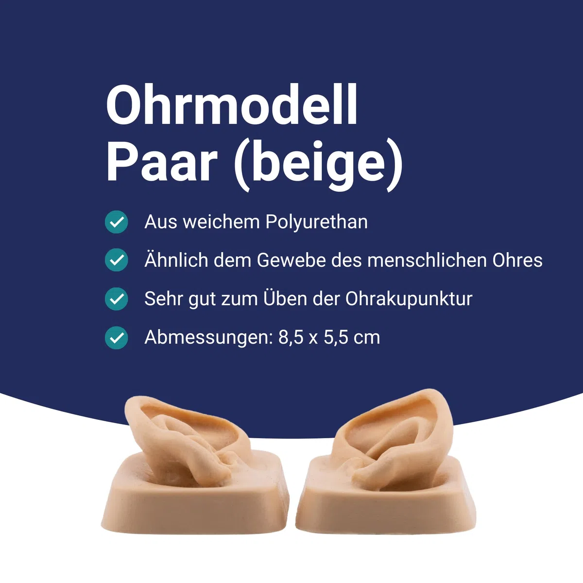 Ohrmodell (Paar) für Ohrakupunktur aus weichem Kunststoff in Originalgröße - Leonidov