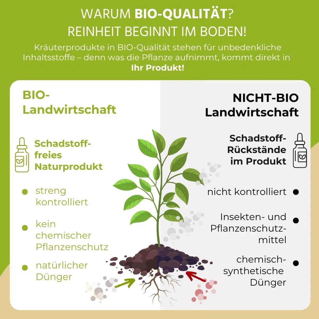 NEU! Auwald Mädesüß Blüten Tropfen BIO – Hochwertiger Auszug, Extrakt, Essenz & Tinktur – 100% BIO Landwirtschaft, Frei von künstlichen Zusätzen und Farbstoffen, Hergestellt in Österreich – 100ml