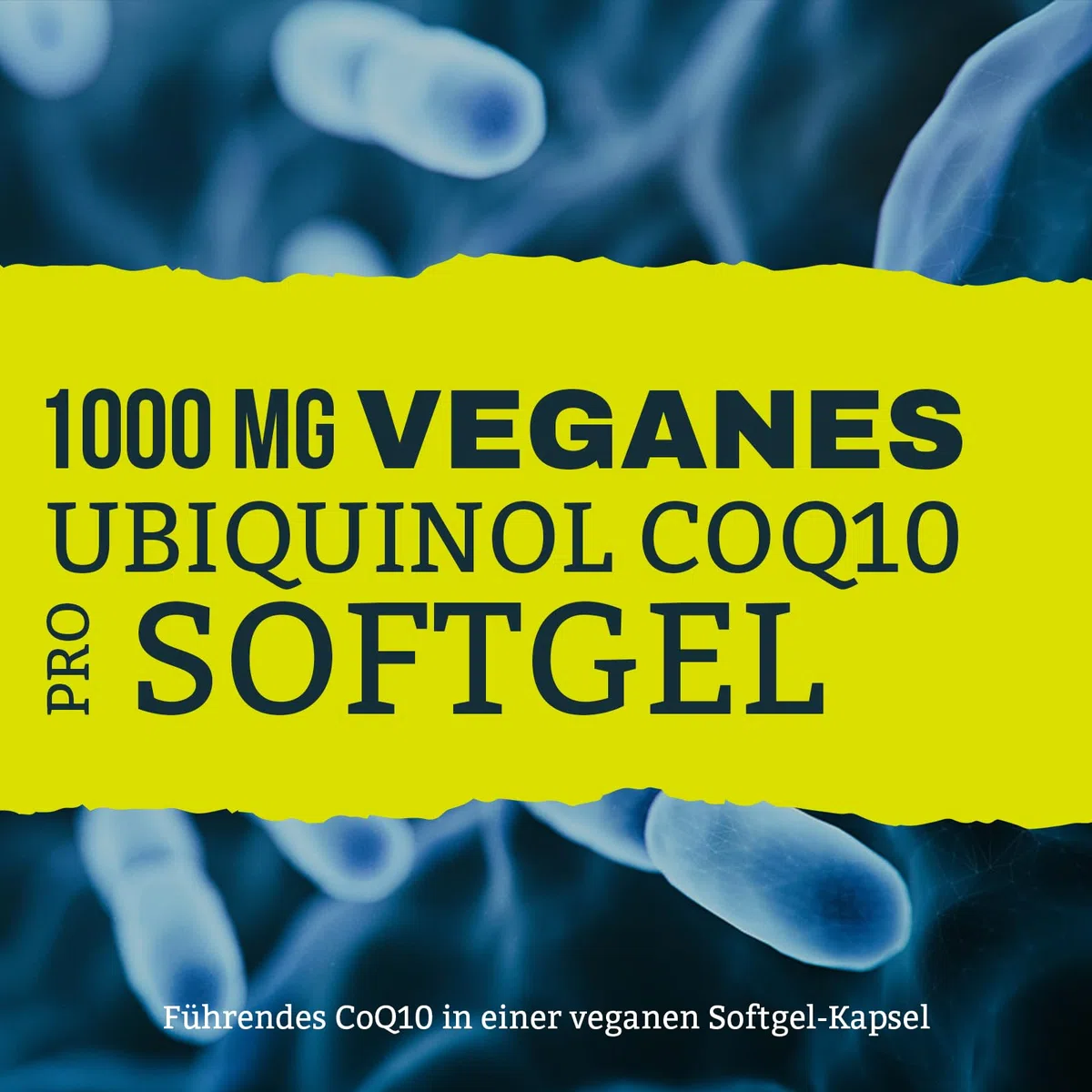 Liposomale Ubiquinol CoQ10 1000 mg – Hochdosiertes veganes Coenzym Q10 mit Phosphatidylcholin für optimale Aufnahme – Premium Nahrungsergänzung – 60 Weichkapseln (60 stück (2er Pack))