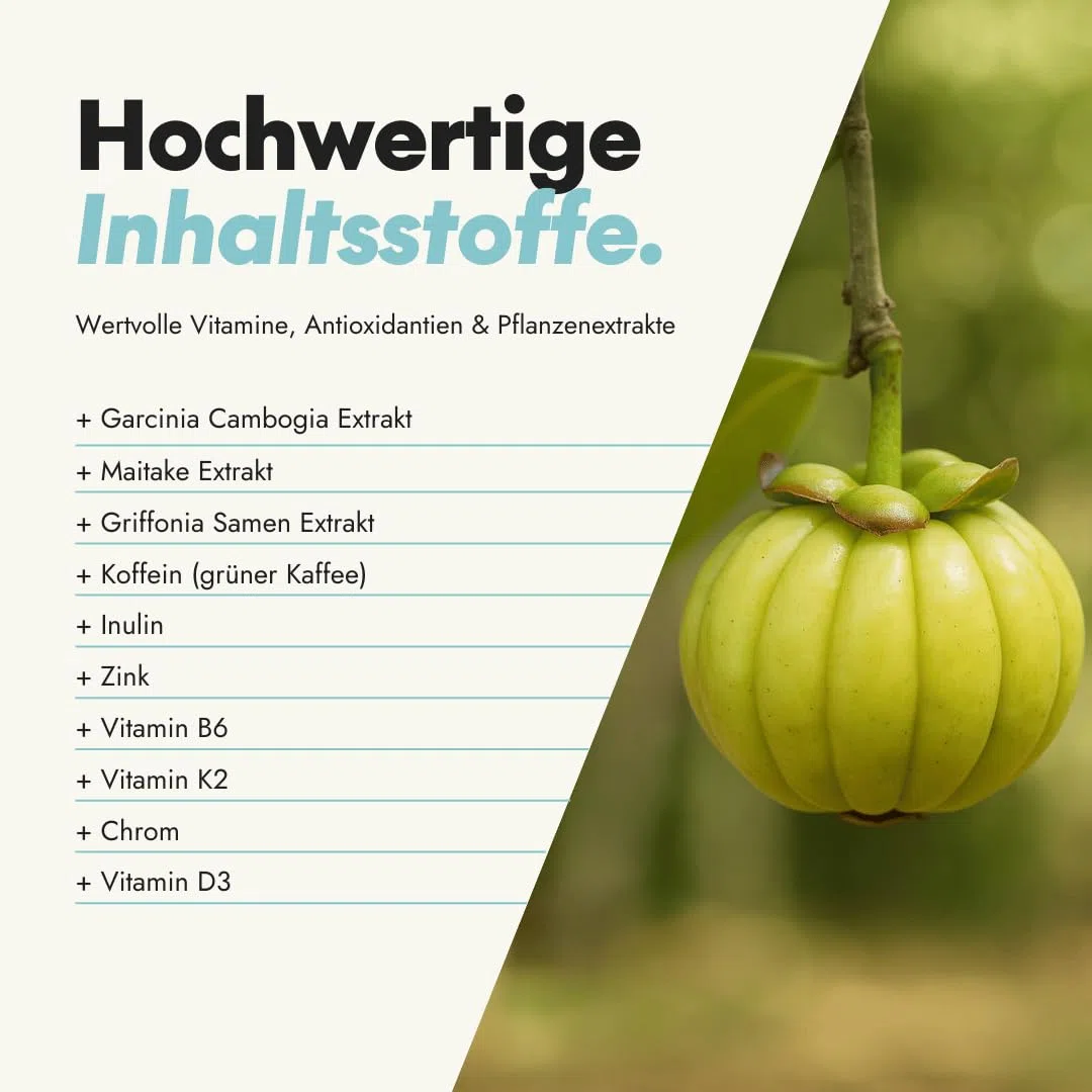 serotalin Active Body Metabol für den Stoffwechsel* | Garcinia Cambogia mit Zink, Chrom, Koffein, Vitamin B6, D3, K2 & Griffonia | 60 vegane Kapseln