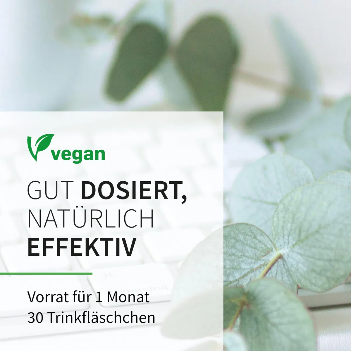 IMMUN KUR - Immunsystem stärken mit basics - Monatskur, 30 x 10ml Fläschchen - Hochdosiert, Kombination aus 15 Mikronährstoffen. Ohne unerwünschte Zusätze - Vegan - Laborgeprüft