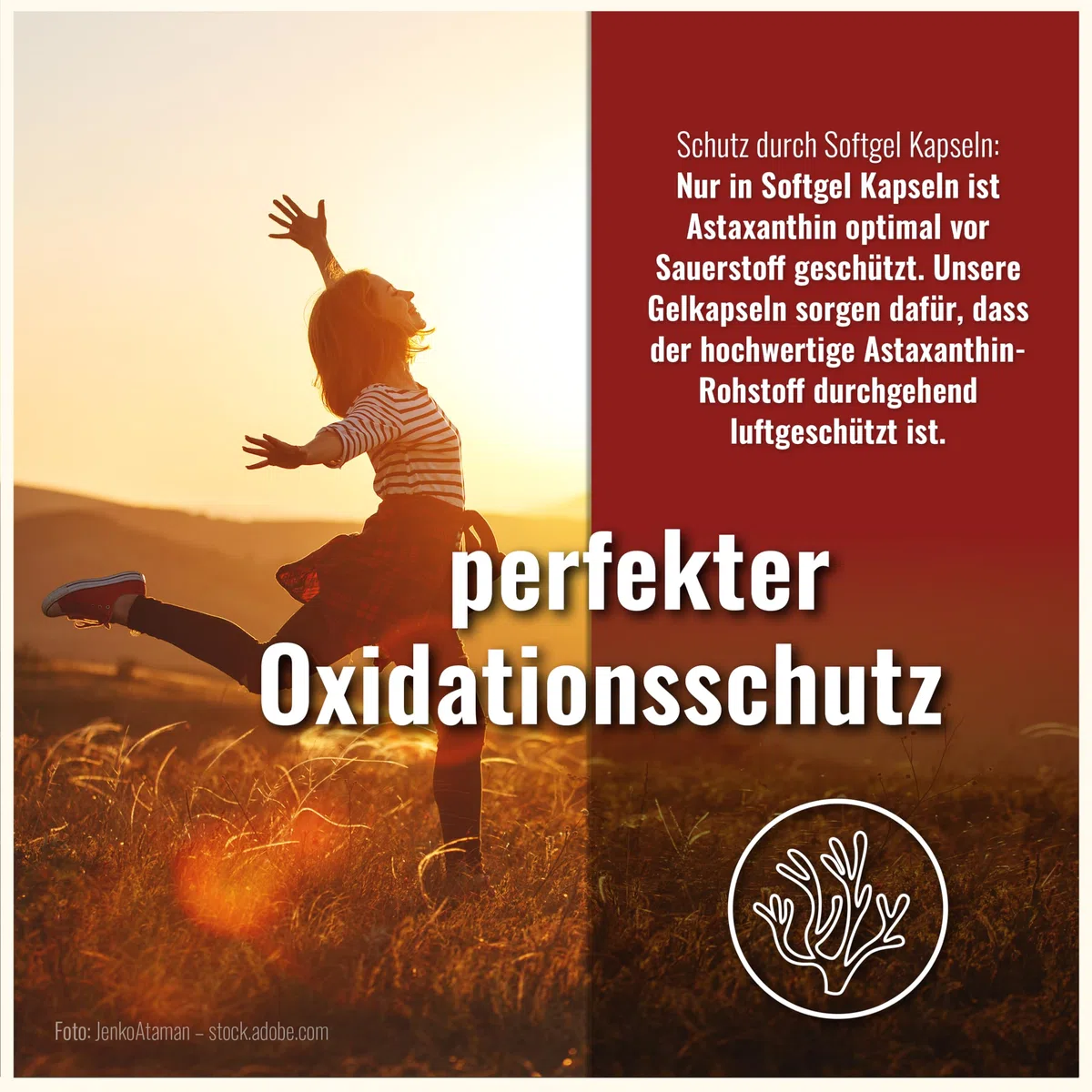 Astaxanthin 12 mg Depot Softgel Kapseln mit Oxidationsschutz - 4 Monatsvorrat - Gel Caps - Mit Vitamin E (70 Kapseln)