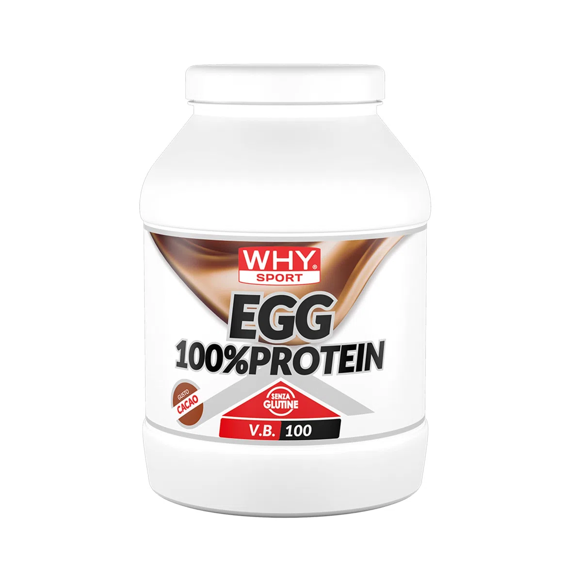 WHY SPORT EGG 100% Protein - Protein ohne Laktose - Proteinpulver - Eialbuminprotein - Kakao-Geschmack - 750 g