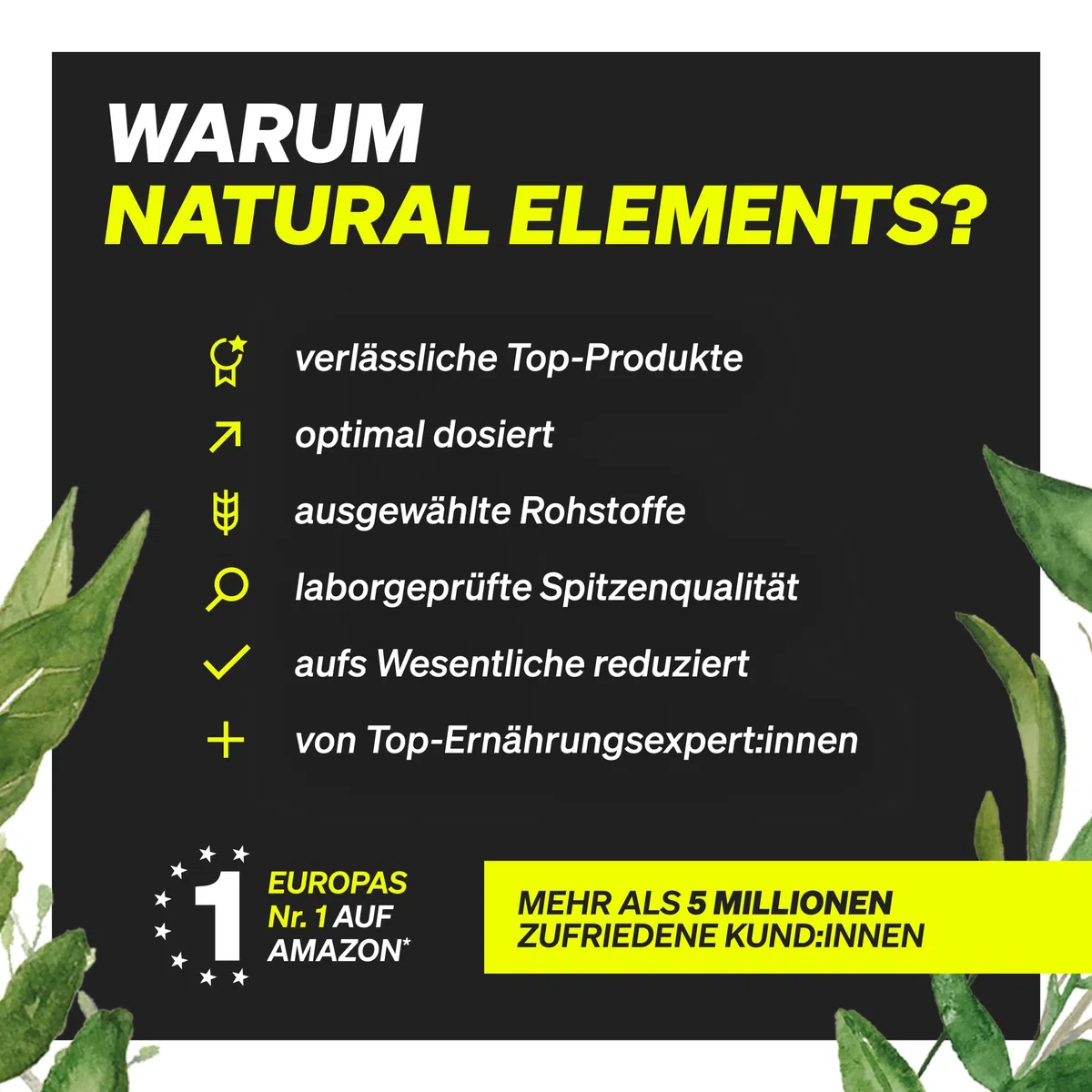 natural elements Ashwagandha Komplex – 600mg pro Tagesdosis – 120 Kapseln – mit KSM-66, Zitronenverbene, Magnesium, Folsäure und Vitamin C, B6 und B12 – hochdosiert & vegan – laborgeprüft