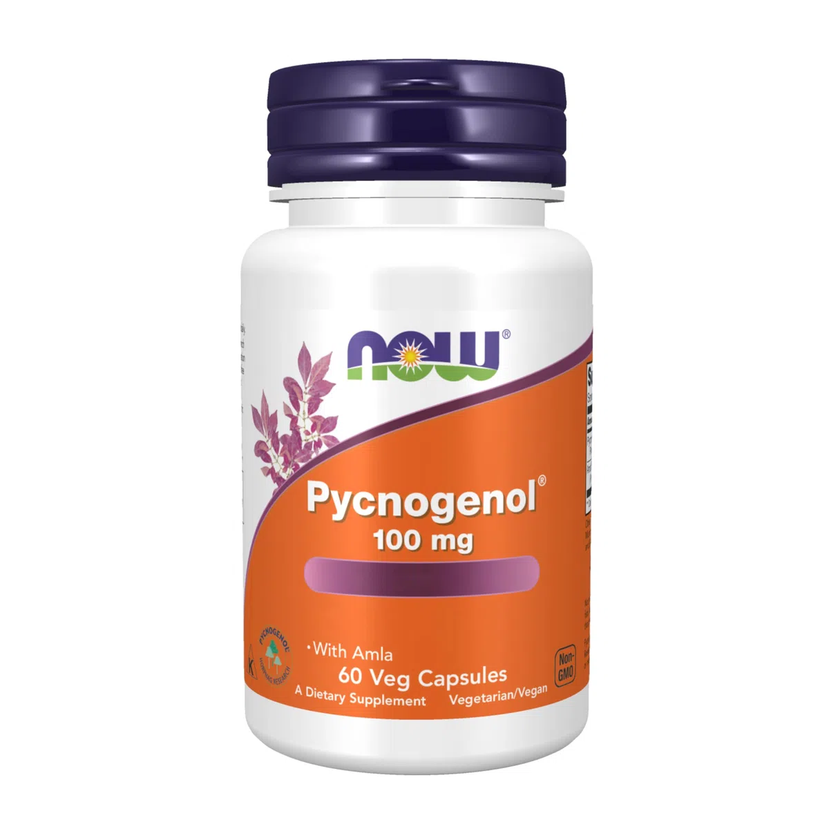 Now Foods, Pycnogenol, 100mg, mit Amla-Frucht, 60 vegane Kapseln, Laborgeprüft, Sojafrei, Glutenfrei, Vegetarisch, Ohne Gentechnik
