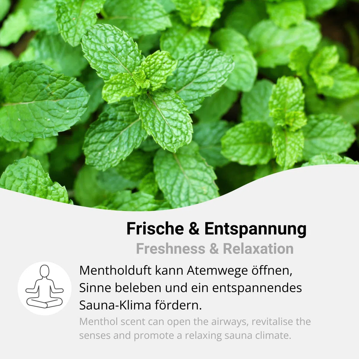 Mentholkristalle aus 100% Minzöl 200g Sauna Aufguss reines Menthol intensiv und wohltuend