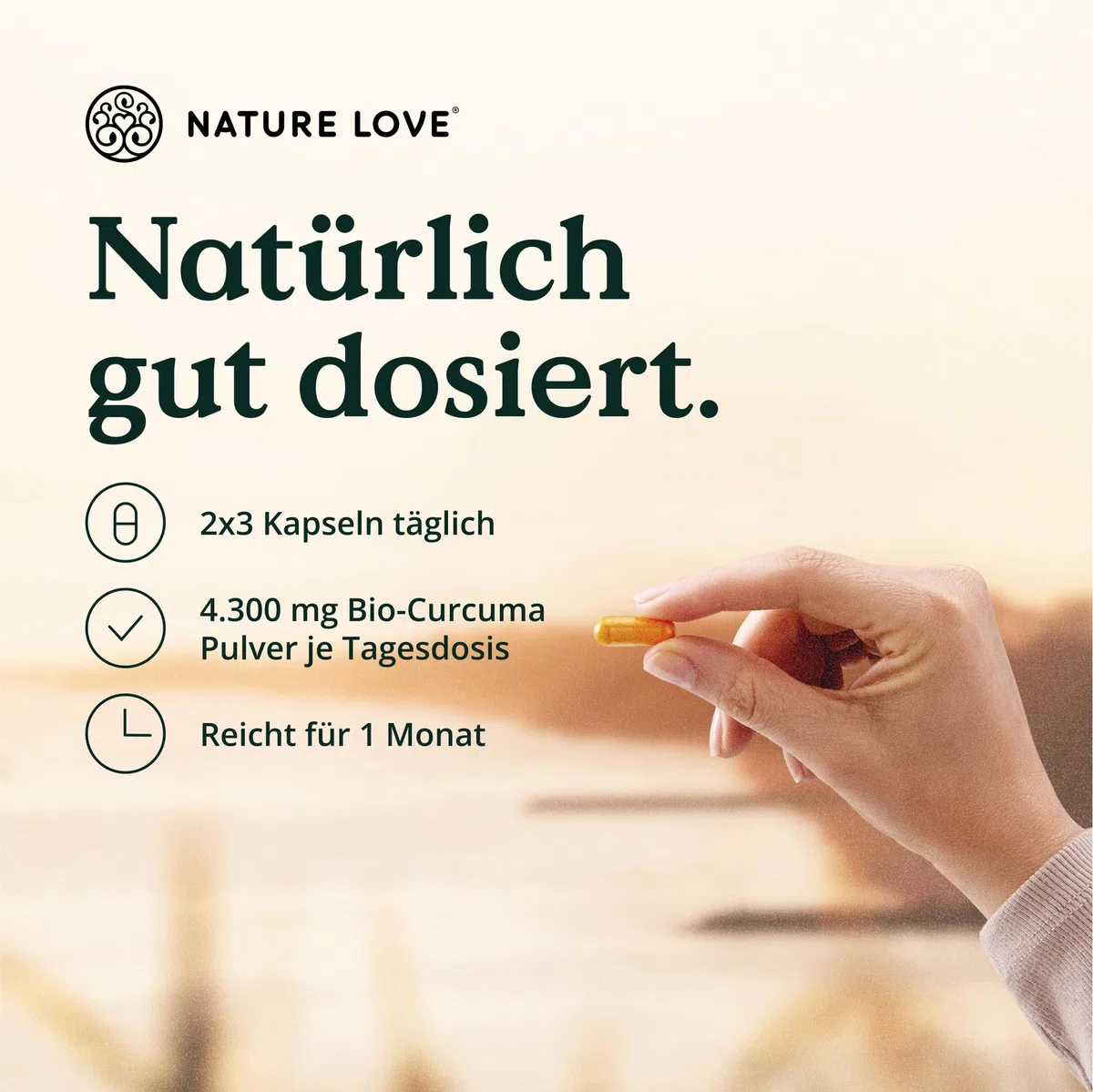 NATURE LOVE Bio Curcuma - 240 Kapseln - mit Curcumin aus Kurkuma und Piperin aus schwarzem Pfeffer - hochdosiert, vegan, laborgeprüft und in Deutschland hergestellt