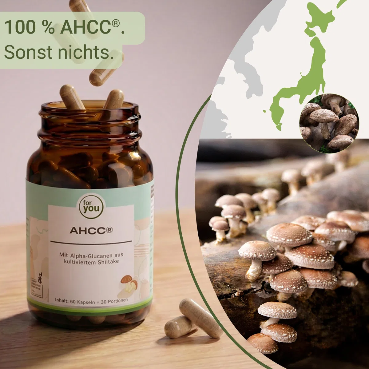for you AHCC Kapseln 60 Stück – kultivierter Extrakt aus Shiitake Pilz mit Alpha-Glucanen | 1.000 mg pro Tagesdosis | fermentierter Pilzextrakt | Nahrungsergänzungsmittel