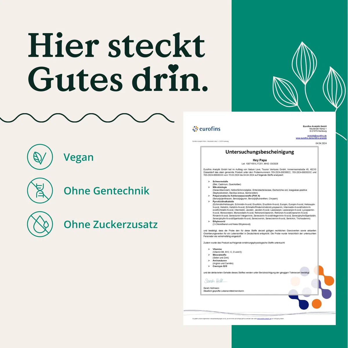 Nature Love Hey Papa - 120 Kapseln - 12 Inhaltsstoffe: Folsäure, Maca, Selen, Zink, L-Arginin, L-Carnitin, Q10, Vitamin C, B6, B12, D3 und E - vegan und laborgeprüft