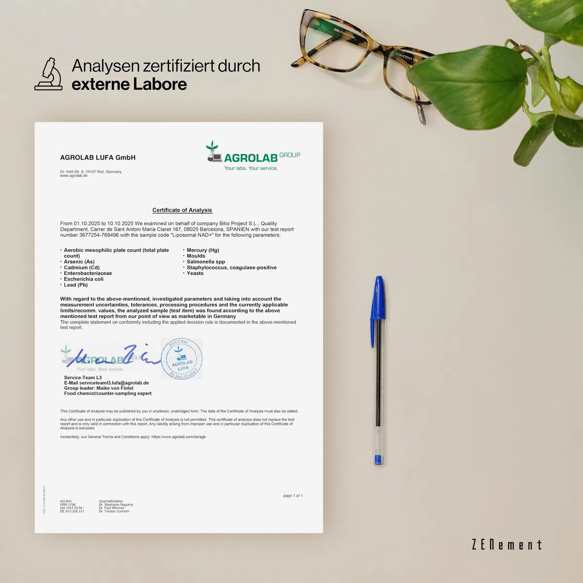 NAD+ Liposomal 500 mg mit Nicotinamide Riboside 250 mg – Doppelformel mit L-Tryptophan, Niacin und Riboflavin – 90 Vegane Kapseln mit Magensaftresistentem Überzug, 45 Tage – Zenement