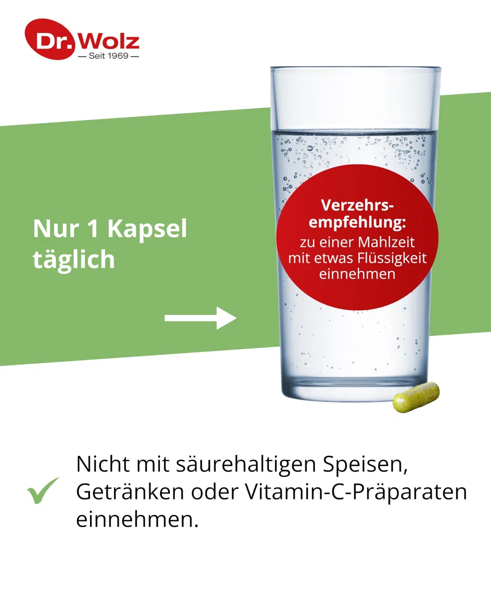 Dr. Wolz Brokkoliextrakt + Aktiv-Enzym Kapseln, 60 St. Kapseln