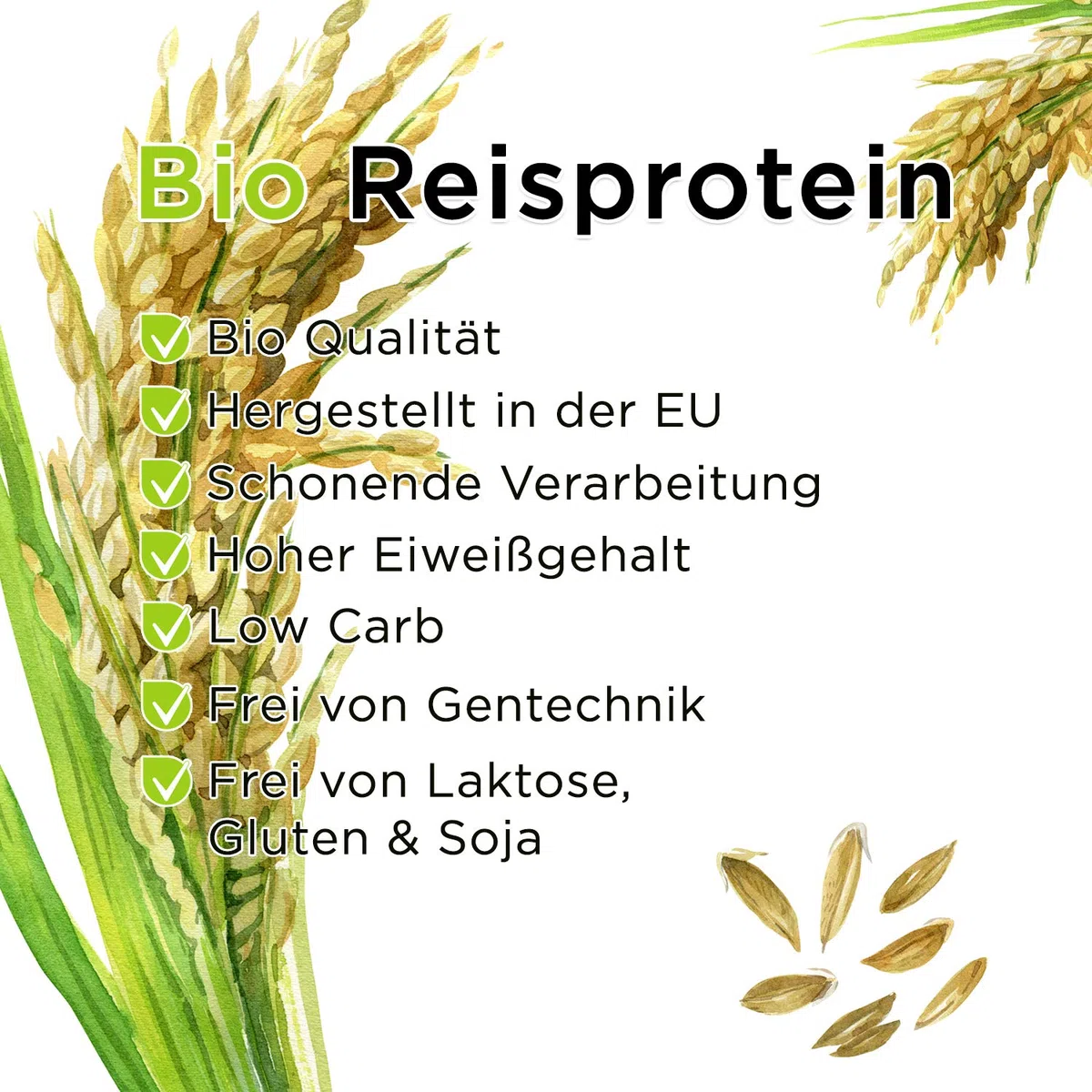 Bio Reisprotein aus EU-Herstellung - 1000g, geprüfte Qualität, schonende Verarbeitung, hoher Proteingehalt