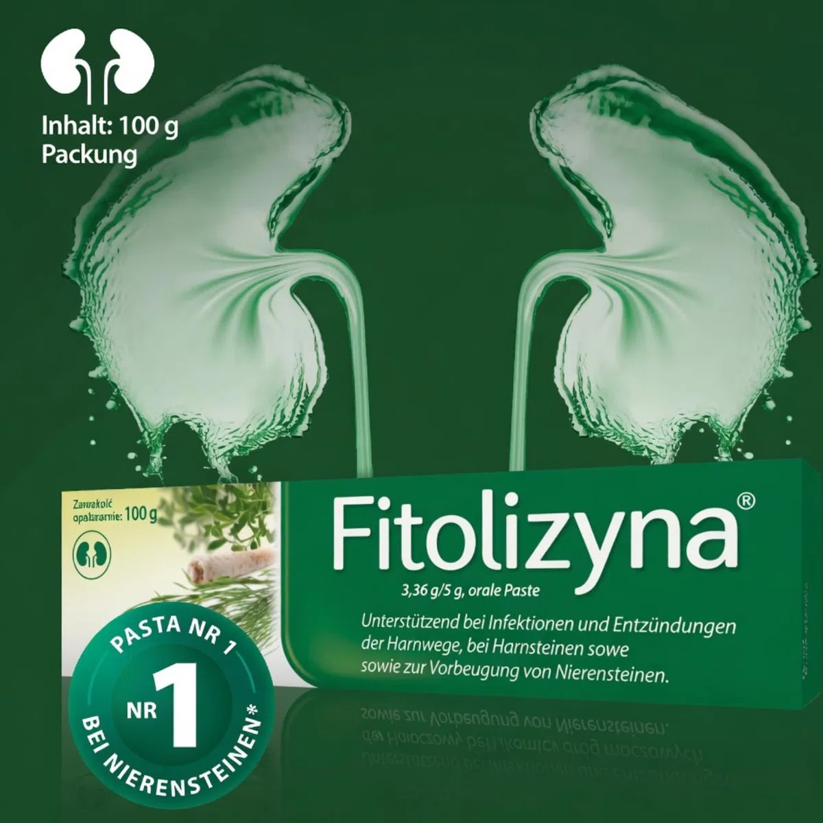 Fitolizyna 200 g – Traditionelle pflanzliche Kräutermischung zur Zubereitung einer Suspension – Botanische Formel nach europäischer Kräutertradition – 2 Stück