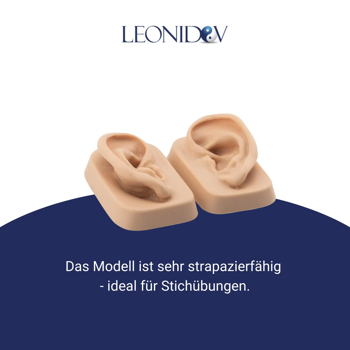 Ohrmodell (Paar) für Ohrakupunktur aus weichem Kunststoff in Originalgröße - Leonidov