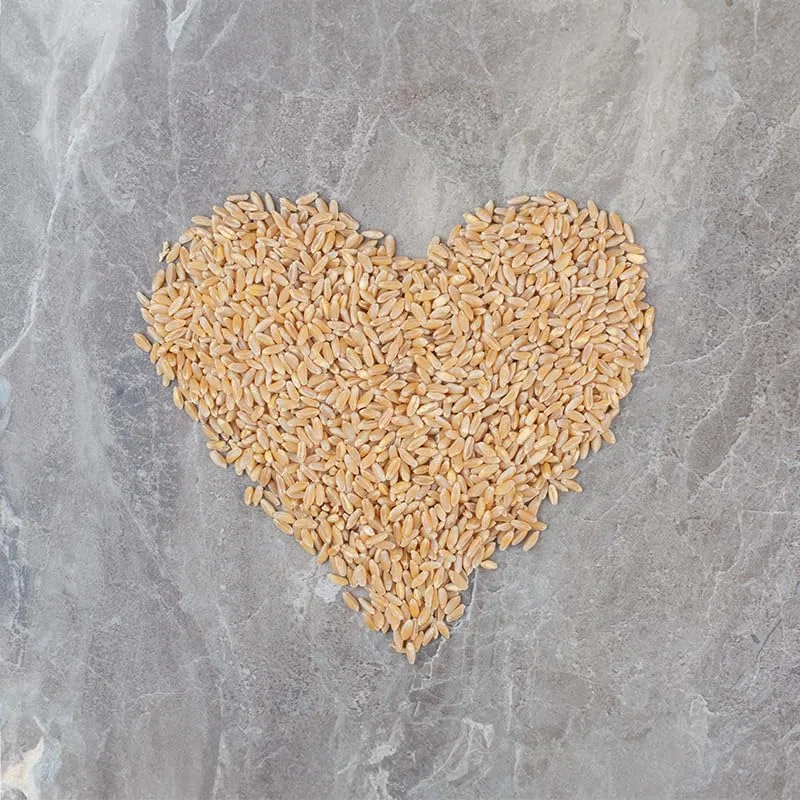 25kg Leinsamen Gold Leinsaat Gelb Musli Backen 25 kg
