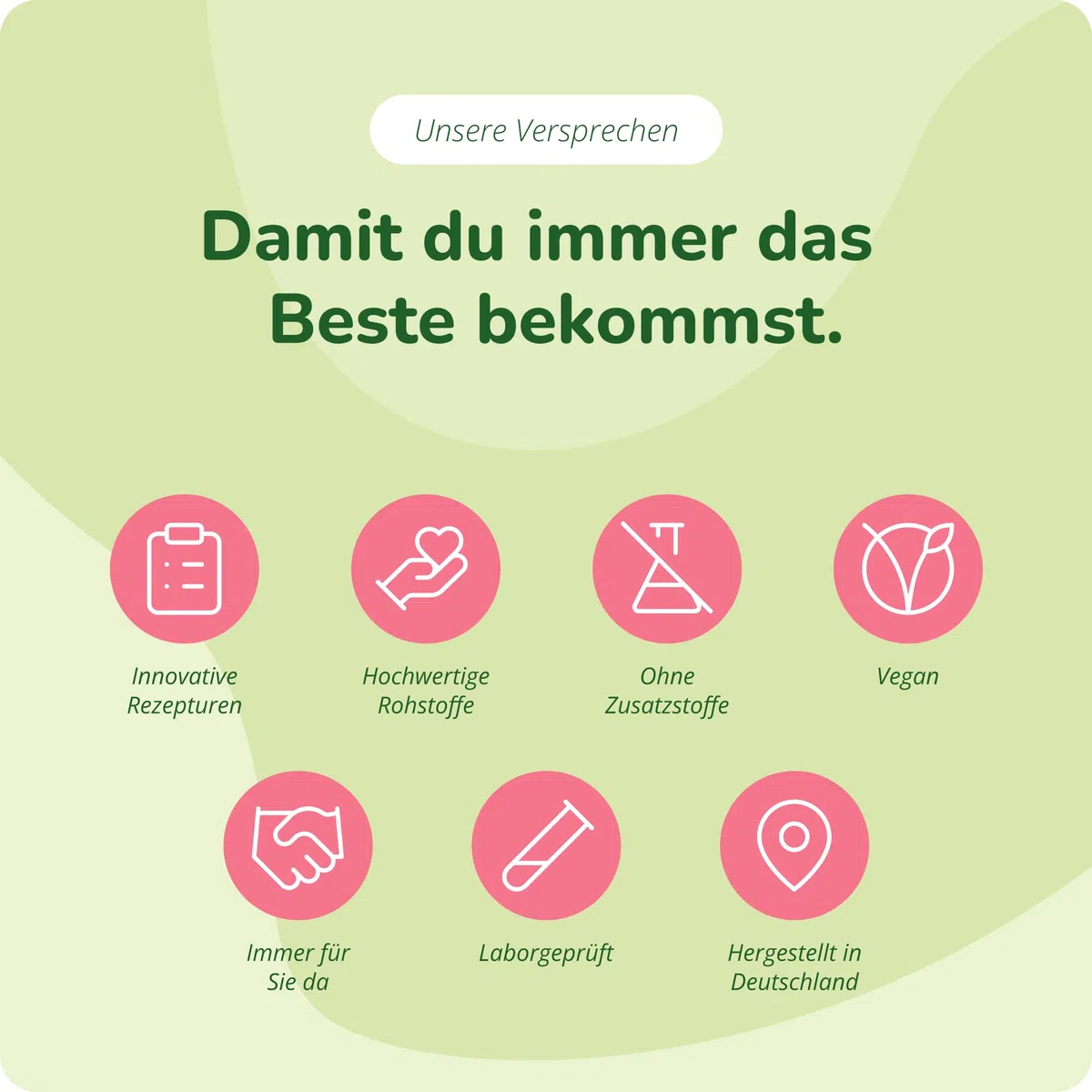 Vegavero Immunsystem Komplex – mit Echinacea, Acerola Vitamin C, Vitamin D3, Ingwer, Zink & Selen – vegane Immunformel ohne Zusatzstoffe – 120 Kapseln hochdosiert