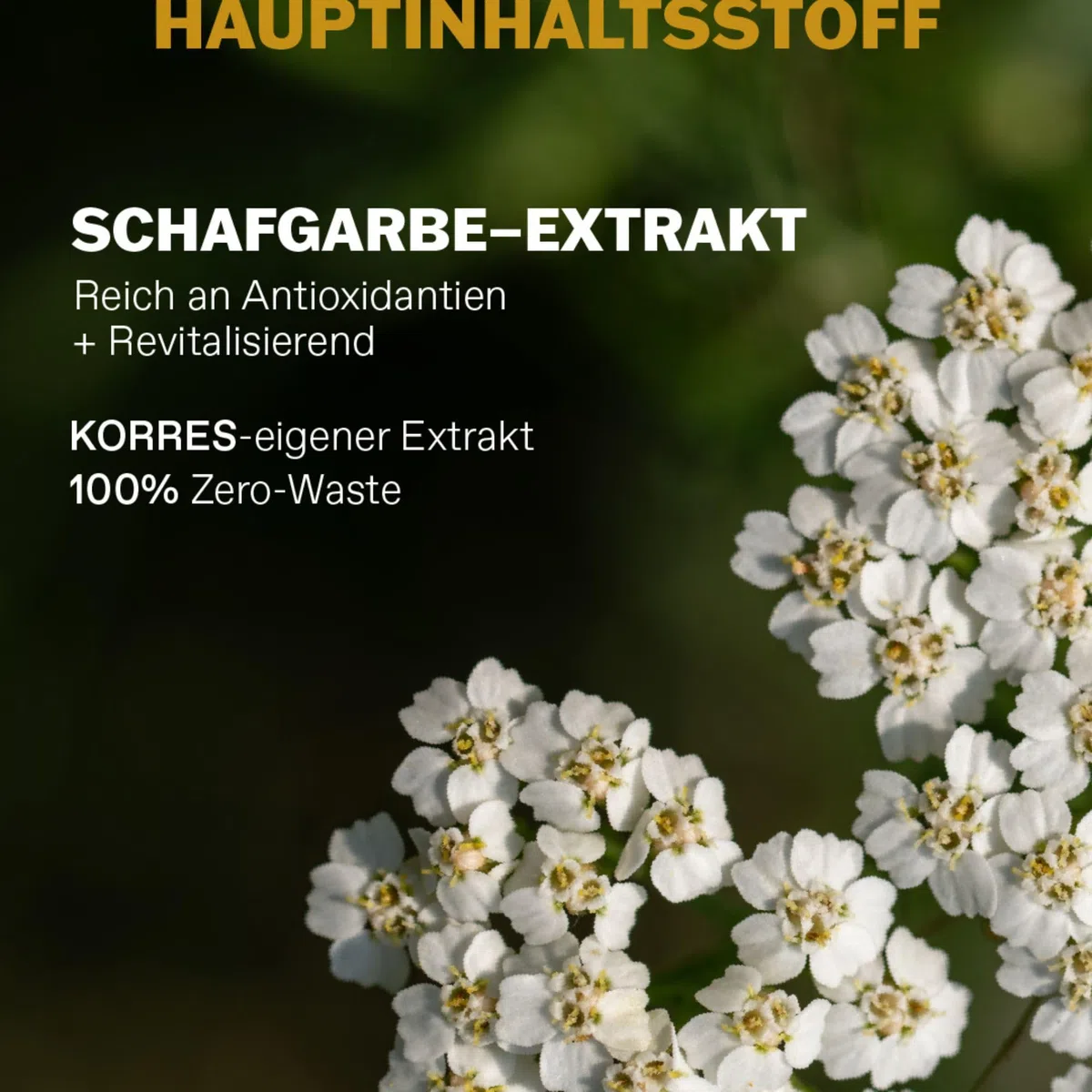 KORRES ATHENIAN GROOMING Beruhigender Aftershave-Balsam für Männer, erfrischende Pflege für die Haut nach der Rasur, wirkt feuchtigkeitsspendend, beruhigend & kühlend, 125 ml