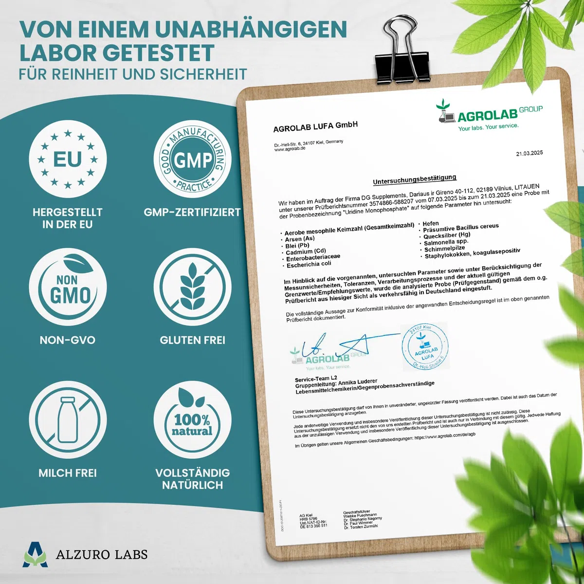 Uridinmonophosphat | 250 mg | Hochdosiert, ein Inhaltsstoff | 60 vegane Kapseln | 2-Monats-Vorrat | Uridine Monophosphate | GMP & Laborgeprüft