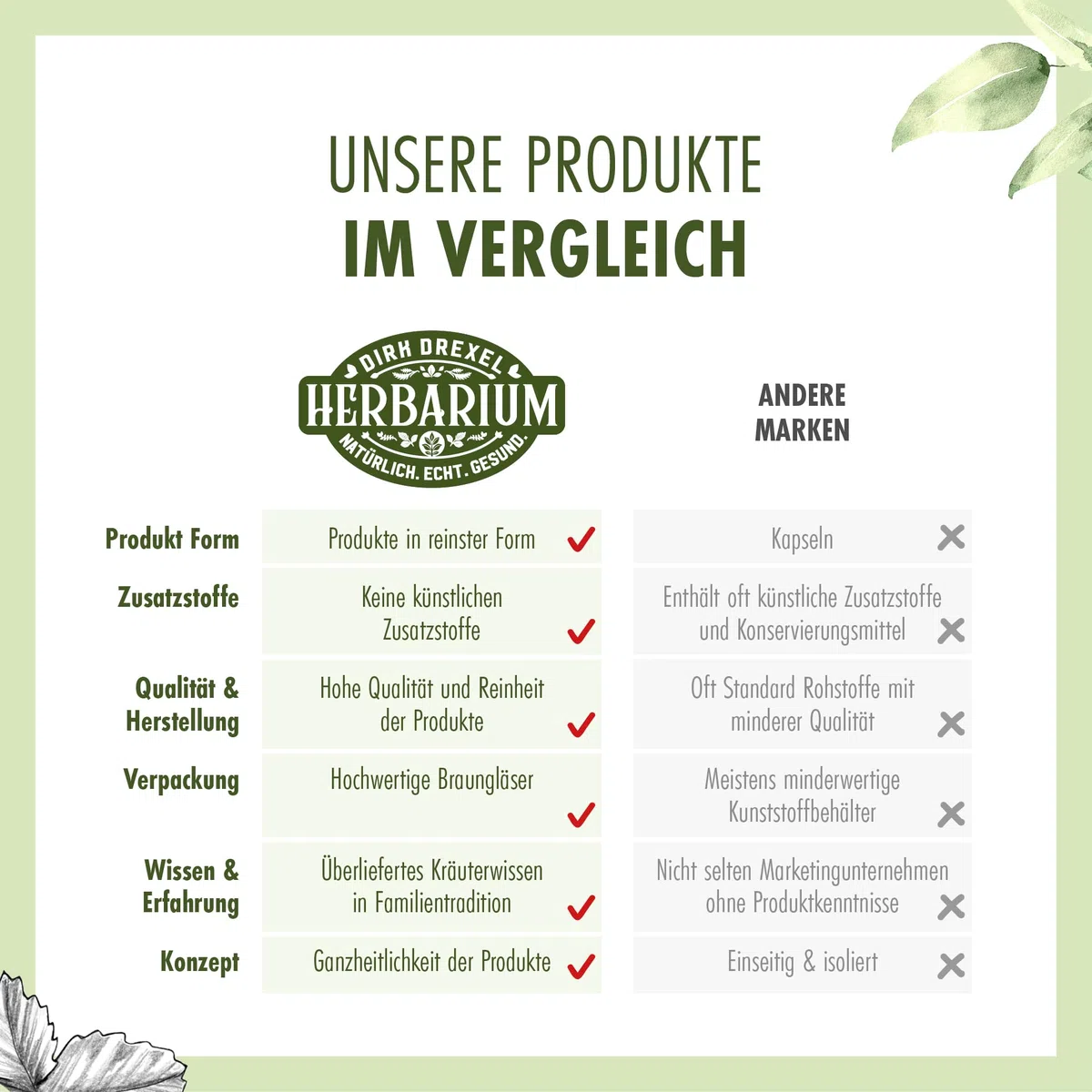 Herbarium Polyphenolreich, 200 ml | Nahrungsergänzungsmittel mit polyphenolhaltigem Olivenöl (1140 mg/kg) | Naturbelassen & kaltgepresst | Premium-Qualität aus Griechenland