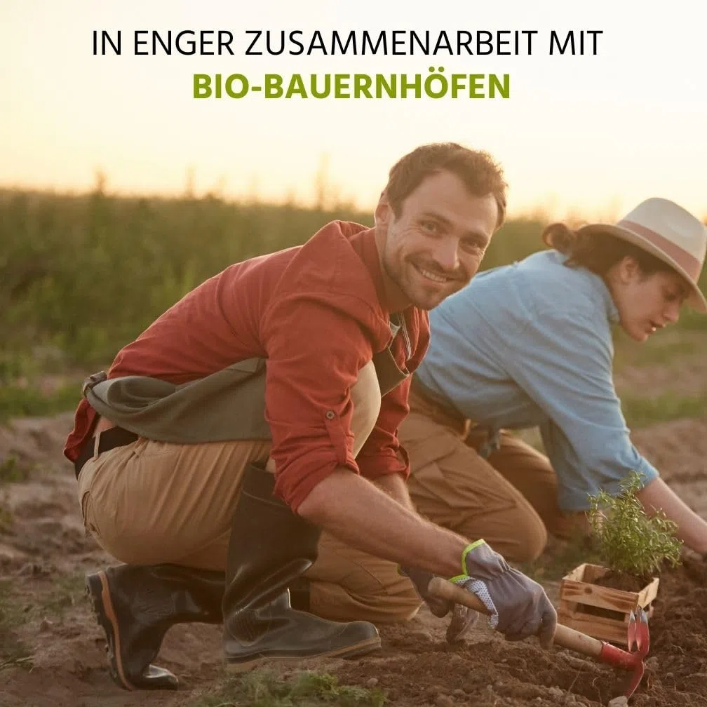 NEU! Auwald Mädesüß Blüten Tropfen BIO – Hochwertiger Auszug, Extrakt, Essenz & Tinktur – 100% BIO Landwirtschaft, Frei von künstlichen Zusätzen und Farbstoffen, Hergestellt in Österreich – 100ml