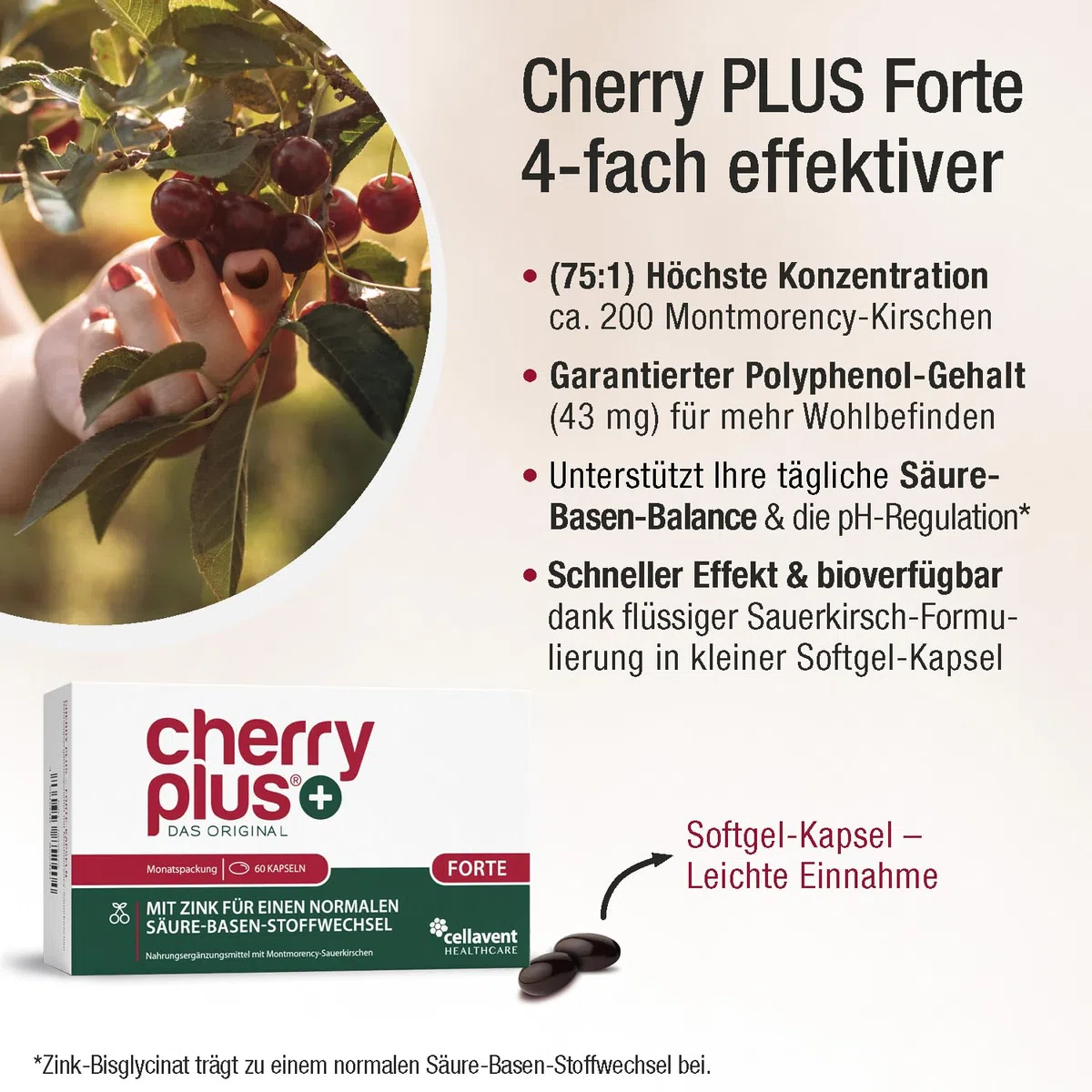Stärkste Montmorency Sauerkirschen Kapseln – 200 Kirschen/Tag – Sauerkirschsaft & Sauerkirschen Extrakt in einer Kapsel – hochdosiert (75:1) – 43 mg Polyphenole tgl. – Cherry PLUS Forte