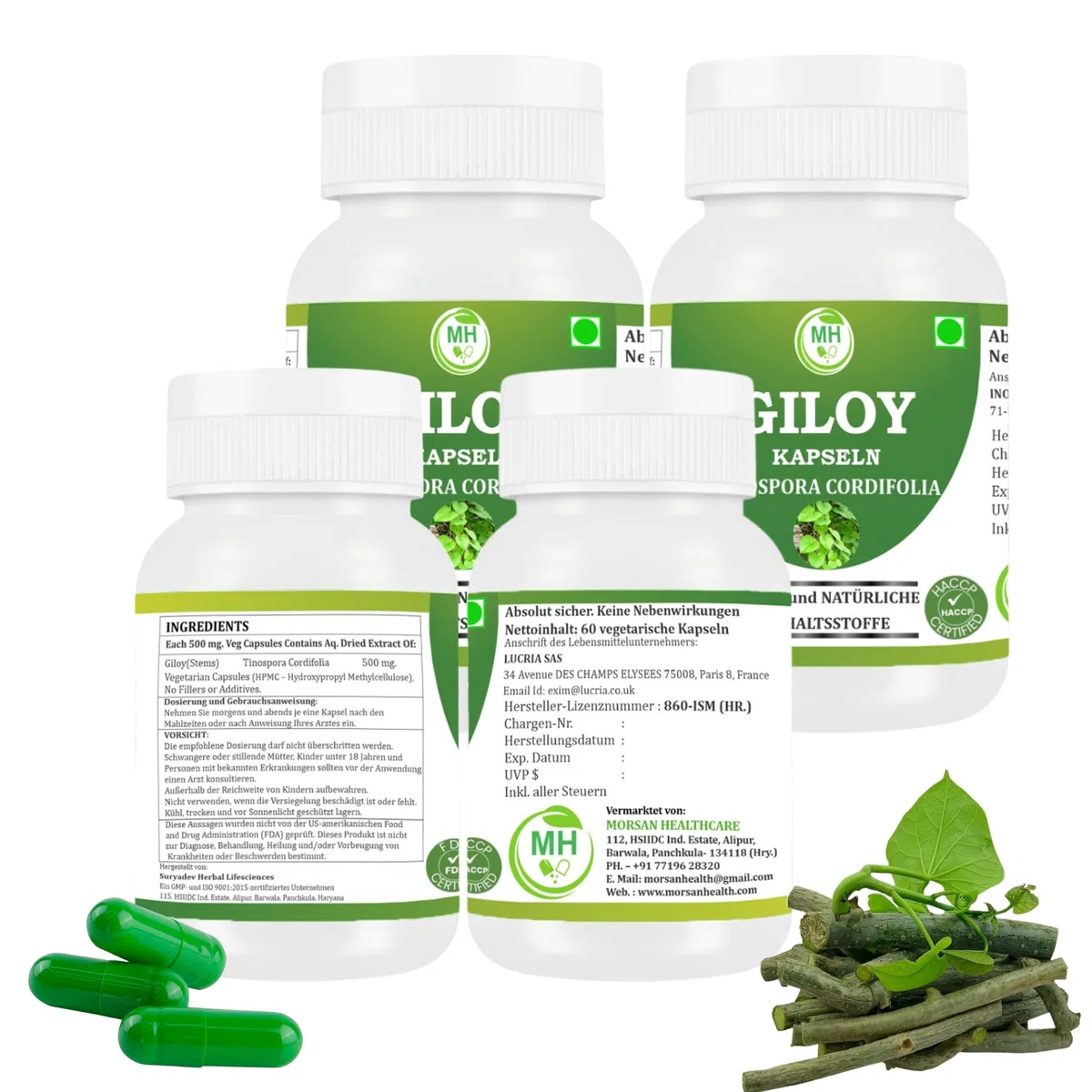 Bio Giloy Guduchi 500mg Extrakt | Natürliches Tinospora Cordifolia zur Immun-Unterstützung | Ayurvedisches Nahrungsergänzungsmittel | Vegan & Ohne Zusatzstoffe | 240 Kapseln