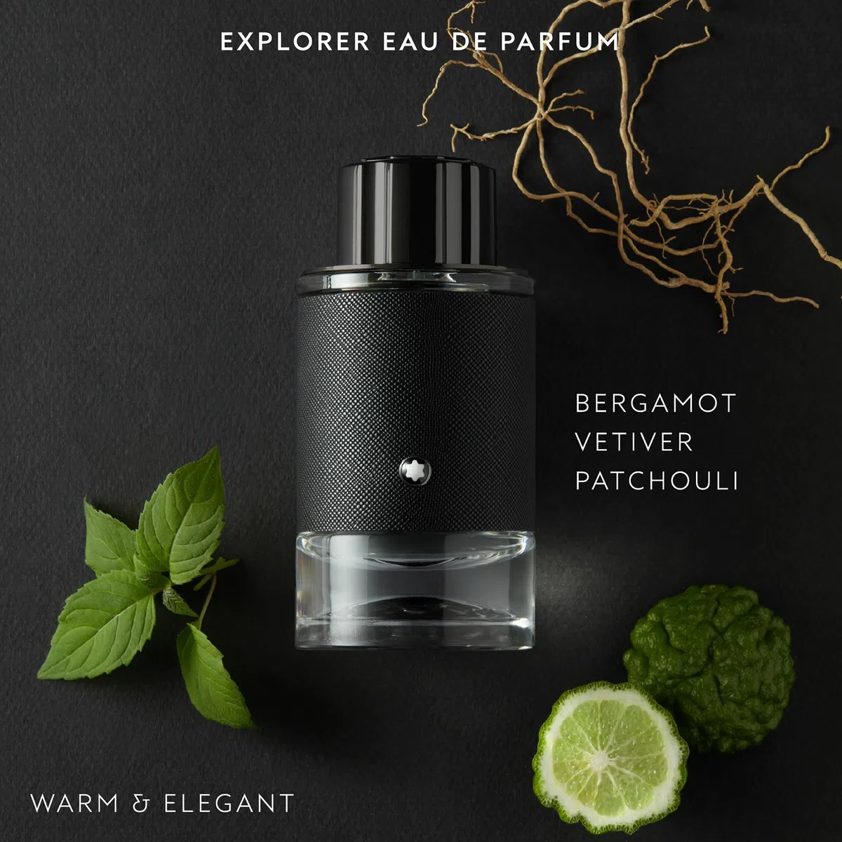 Montblanc Explorer Aftershave Balm, Linie: Explorer, Aftershave für Herren, Inhalt: 150ml