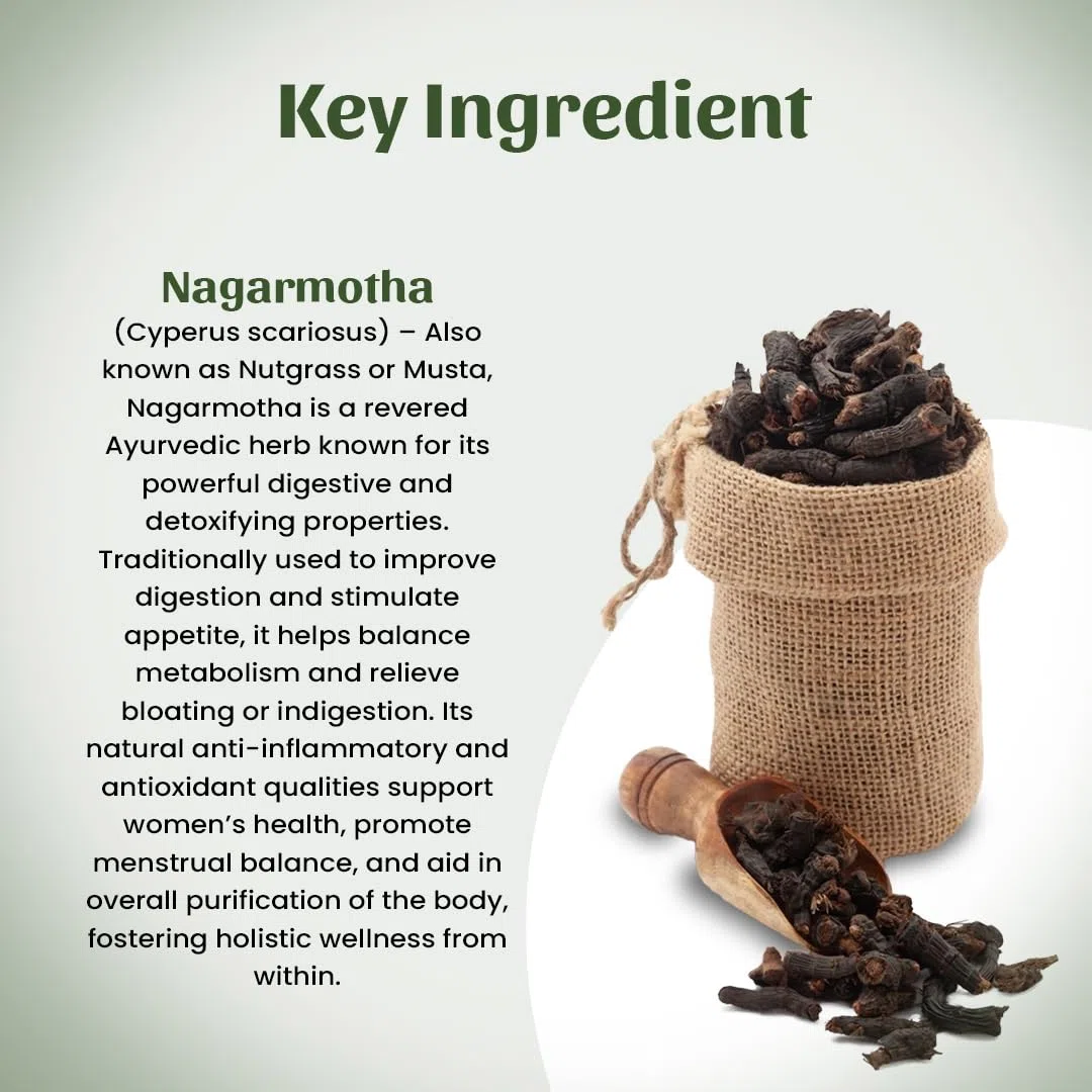 Nagarmotha Churna | Nagarmotha Pulver - 300 GM