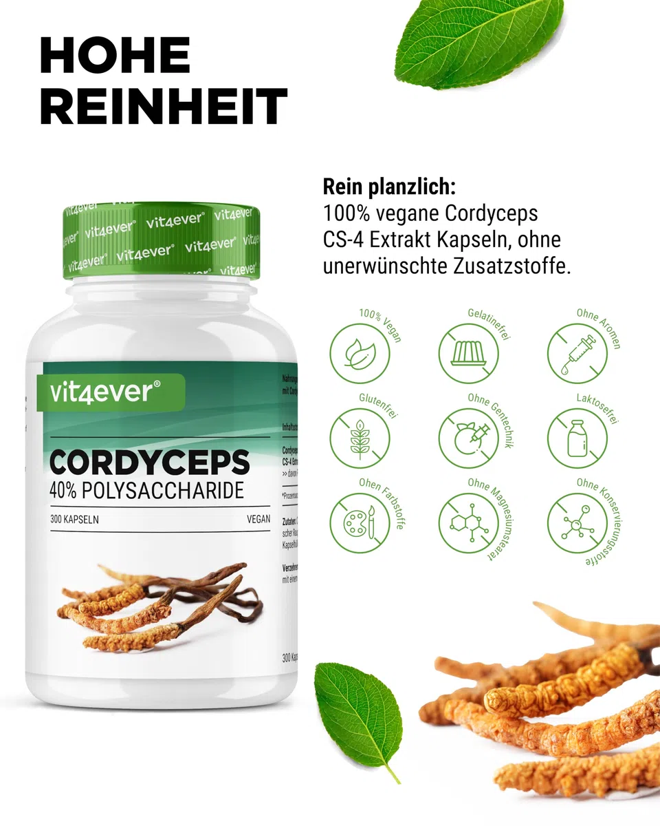 vit4ever Cordyceps Pilz - 300 Kapseln mit 650 mg echtem CS-4 Extrakt - 40% bioaktive Polysaccharide - Hochdosiert - Raupenpilz - Vegan