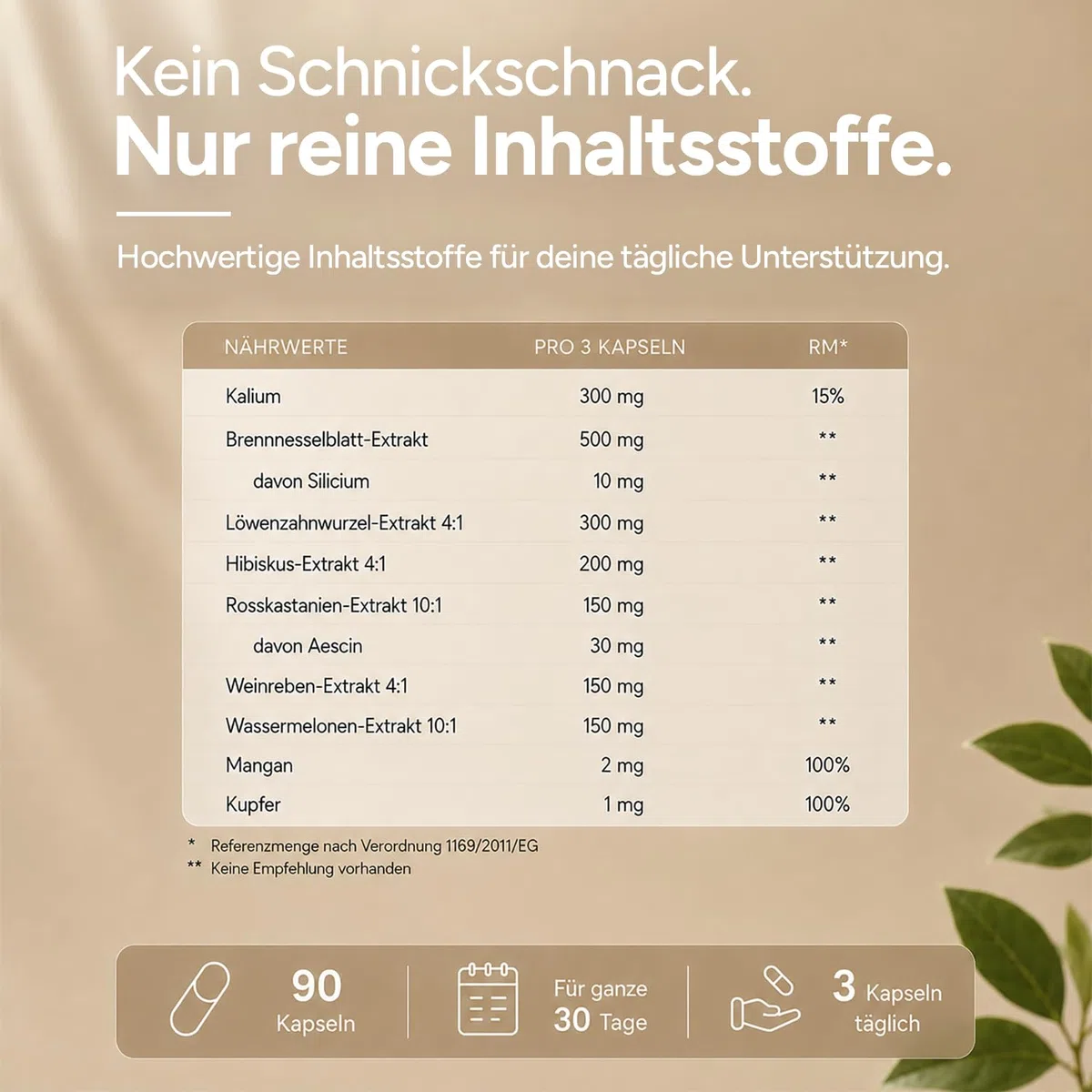 Entwässerungstabletten - Brennnessel Kapseln gegen Wassereinlagerung in den Beinen - Diuretika ohne chemische Entwässerungskapseln - 9-Fach Komplex – 90 Kapseln