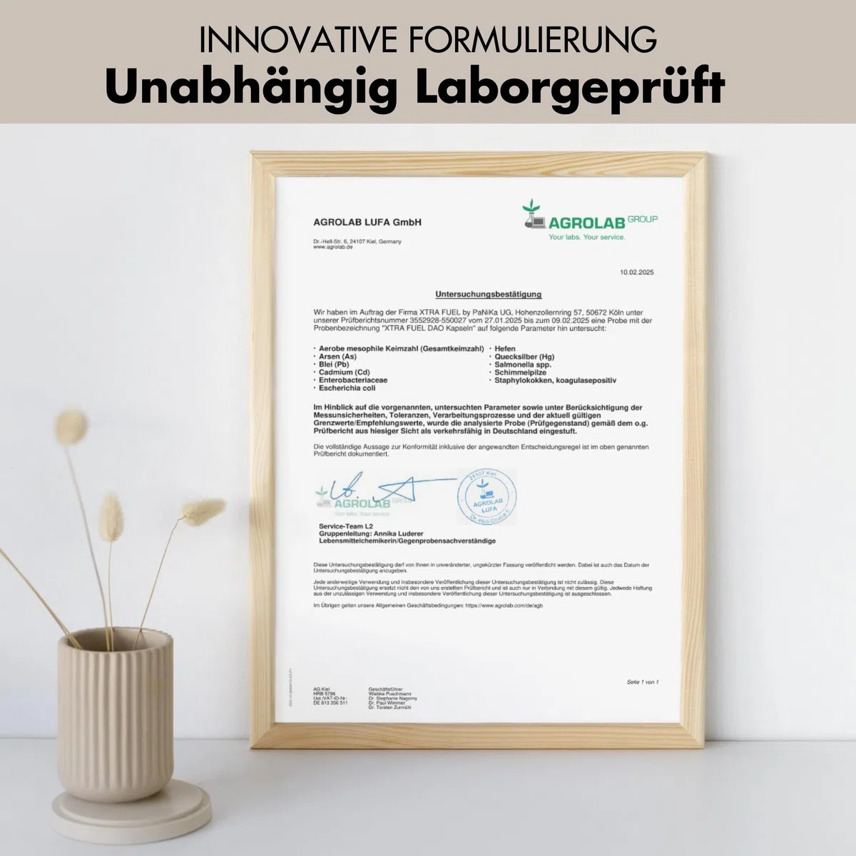 DAO Kapseln 120 Stück (hochdosiert) - 300,000 HDU pro Tagesdosis - DAO Enzym aus Erbsenprotein - vegan & laborgeprüft