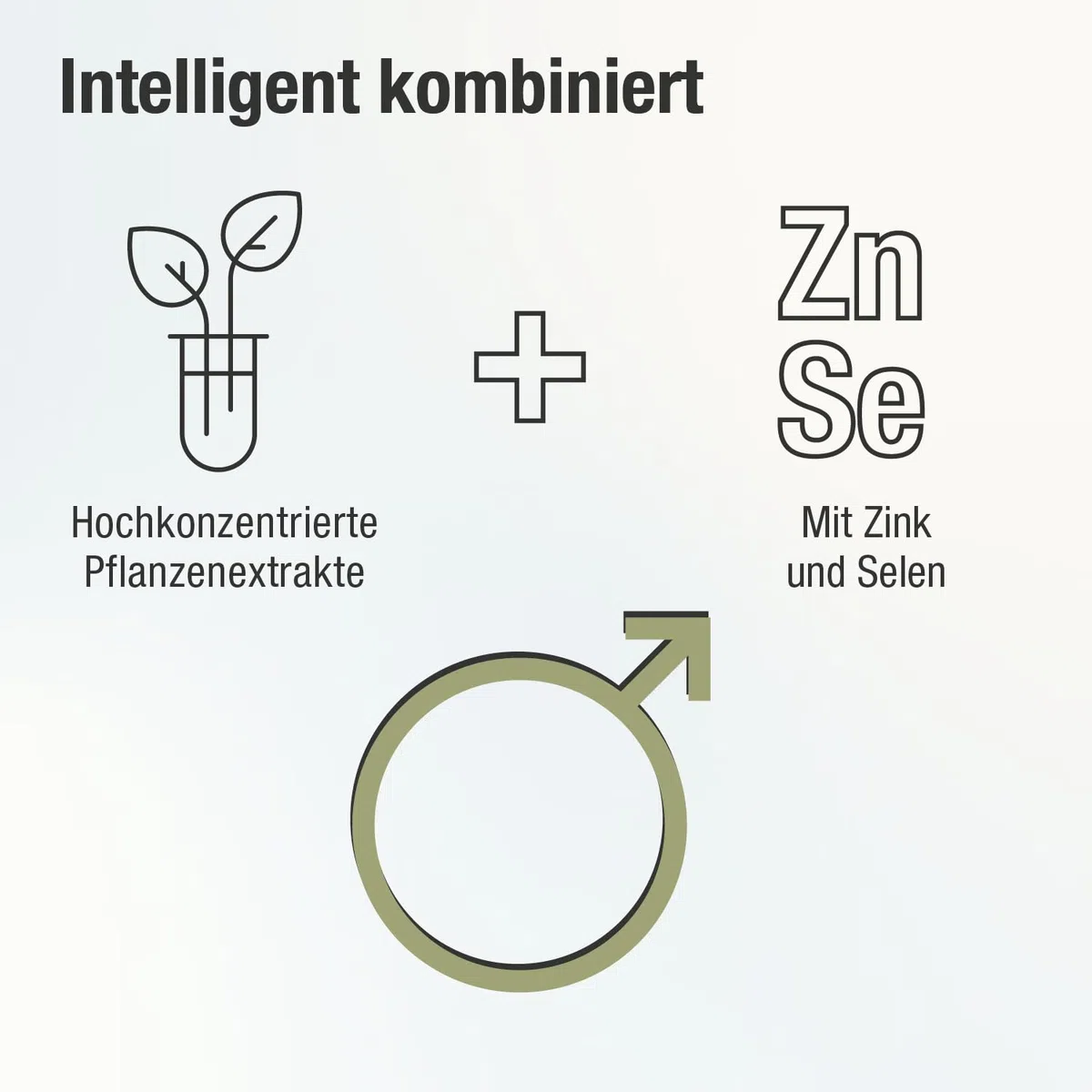 Prostata Kapseln - Sägepalmenextrakt (saw palmetto) - natürliche Extrakte aus Kürbiskernen, Granatapfelschale & Brennnesselwurzel - Selen & Zink für den Testosteronspiegel, 180 Kapseln für 3 Monate