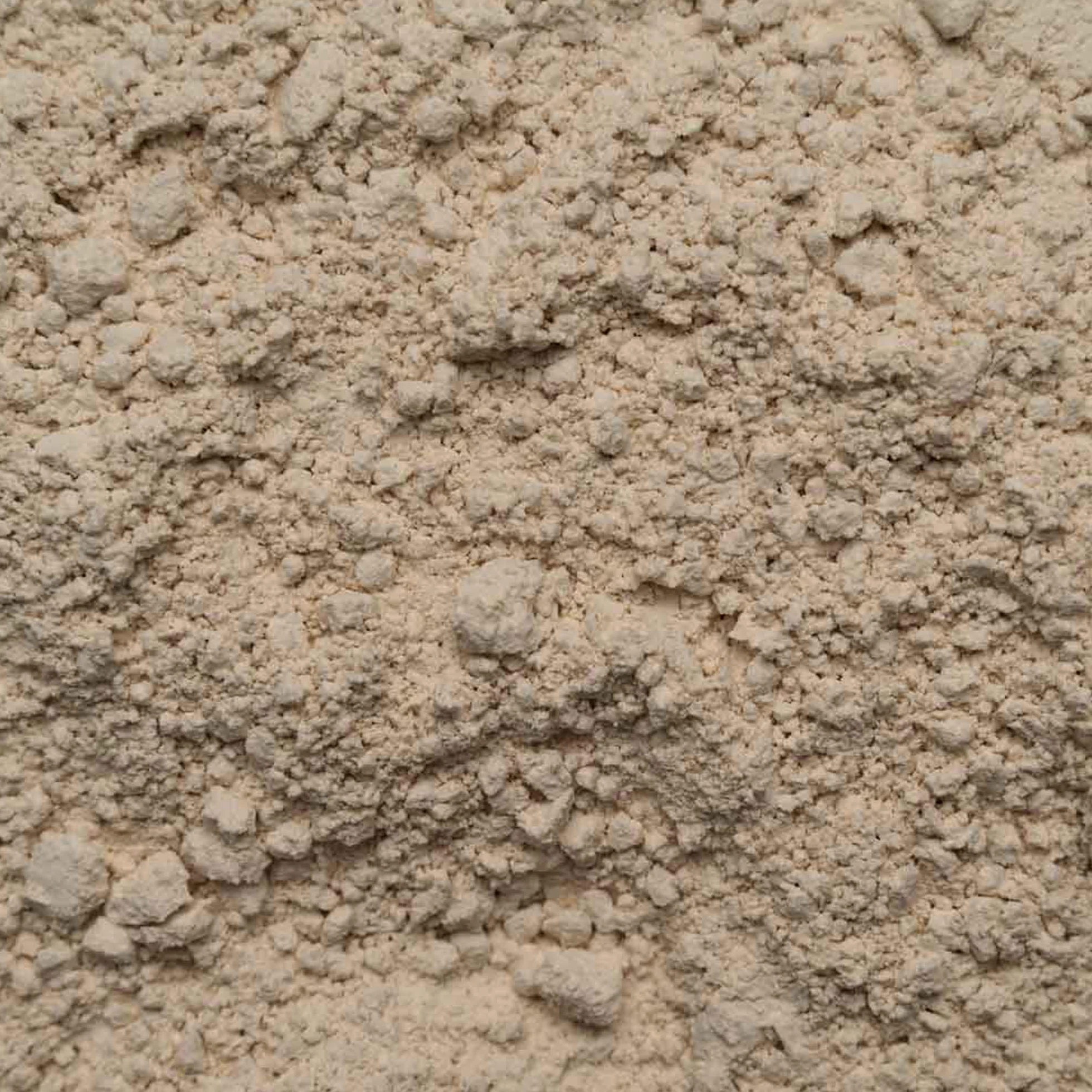 Reisprotein Bio 80% Protein - vegane Proteinquelle - ohne Zusätze - Frei von Gluten Soja und Lactose - Top Bio Qualität - Abgefüllt und kontrolliert in Deutschland - Biotiva