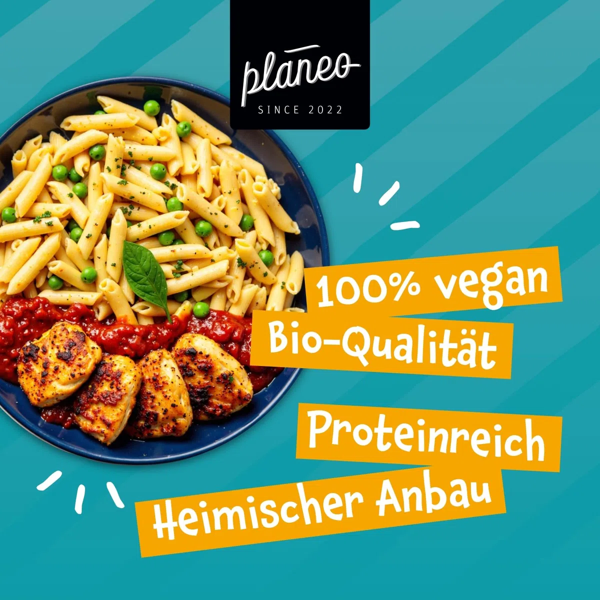 Planeo Bio Erbsen Medaillons 600g - Vegane Fleischalternative aus Erbsen und Ackerbohnen, Hoher Proteingehalt