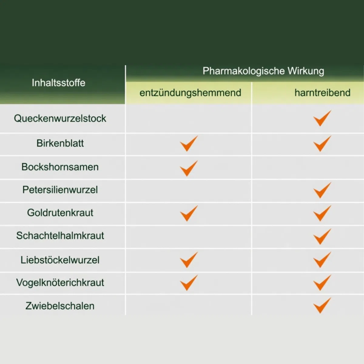 Fitolizyna 200 g – Traditionelle pflanzliche Kräutermischung zur Zubereitung einer Suspension – Botanische Formel nach europäischer Kräutertradition – 2 Stück