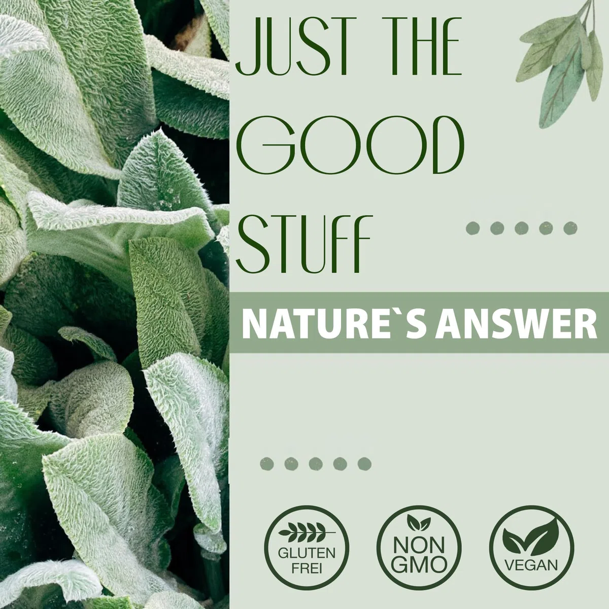 Nature's Answer, Gotu Kola, 90 vegane Kapseln, 950mg Gotu Kola je Dosis, Glutenfrei, Sojafrei, GMO frei, Geschmacksneutral