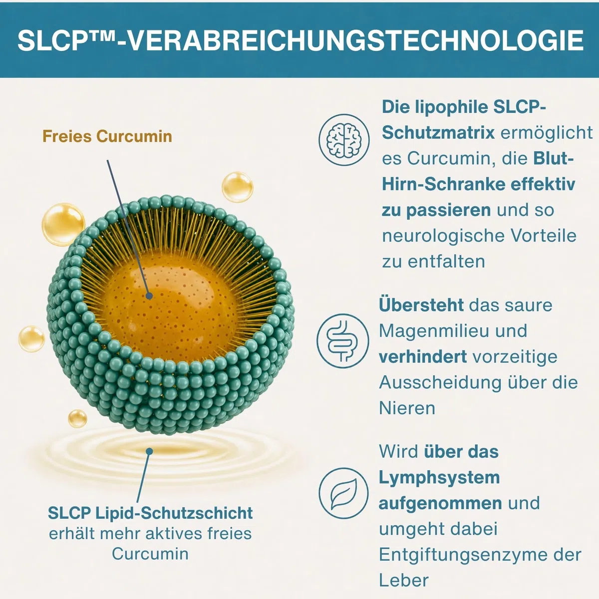 Longvida Curcumin 500 mg, hochdosiert, 285x höhere Bioverfügbarkeit als standard Kurkumin, sichere Langzeitanwendung, vegan, 30 Kapseln