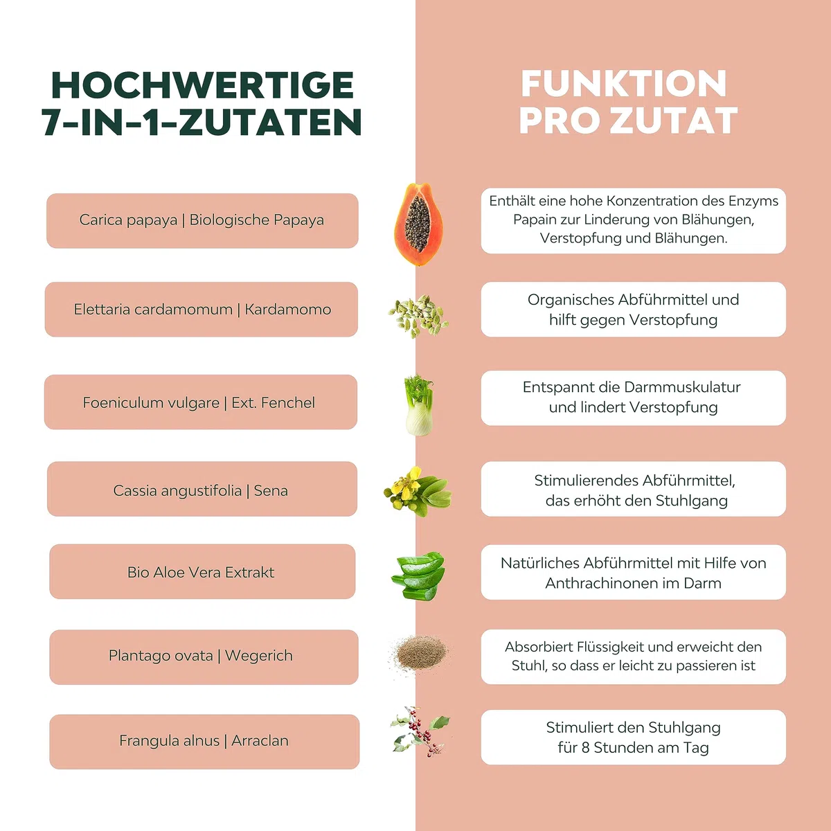 Abführmittel schnell wirkend LAX+, Stuhlweichmacher, 100% natürlich mit Aloe Vera, stark bei Verstopfung, lindert Verstopfung mit Papaya, Arraklan, Kardamom, Fenchel, Senna, Pflanzen
