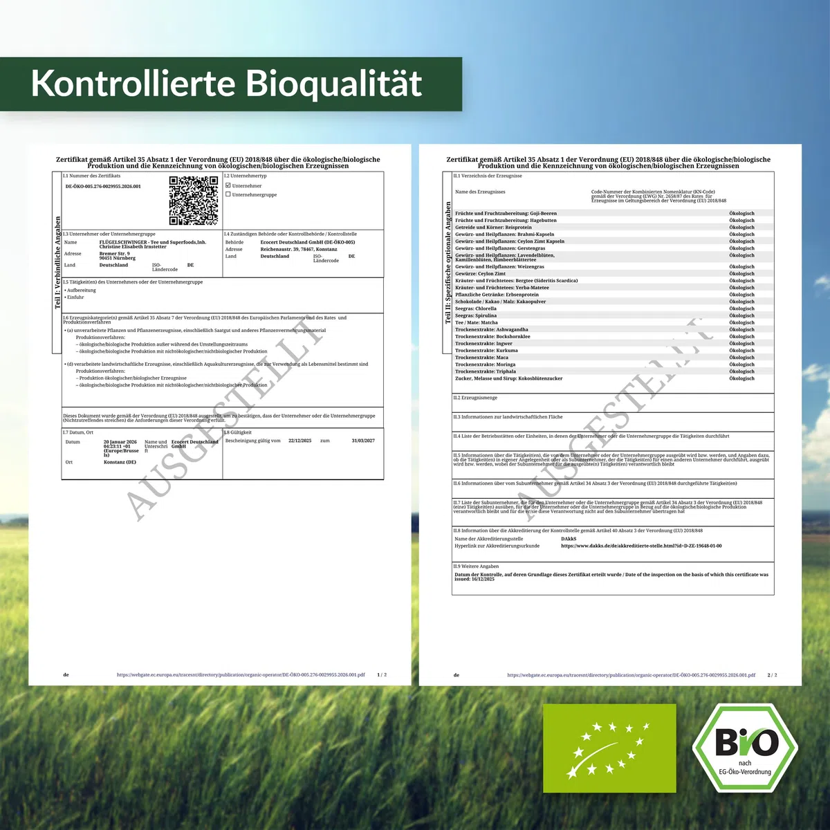 1kg BIO Reis & Erbsen Protein 7:3, 83,8% Protein, ohne Zusätze, 70% Bio Reisprotein & 30% Bio Erbsenprotein, von Natur aus vegan, ohne Soja, geschmacksneutral (1000g)