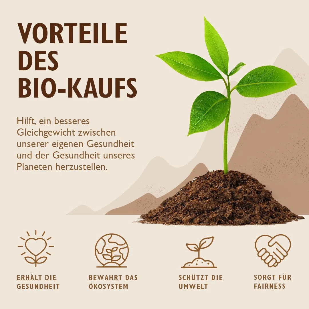 Sevenhills Wholefoods Bio Reisprotein Pulver 1kg - aus braunem Reis – 84% Proteingehalt, vegan, ungesüßt, milchfrei, glutenfrei, ohne Zusatz- oder Konservierungsstoffe, gentechnikfrei