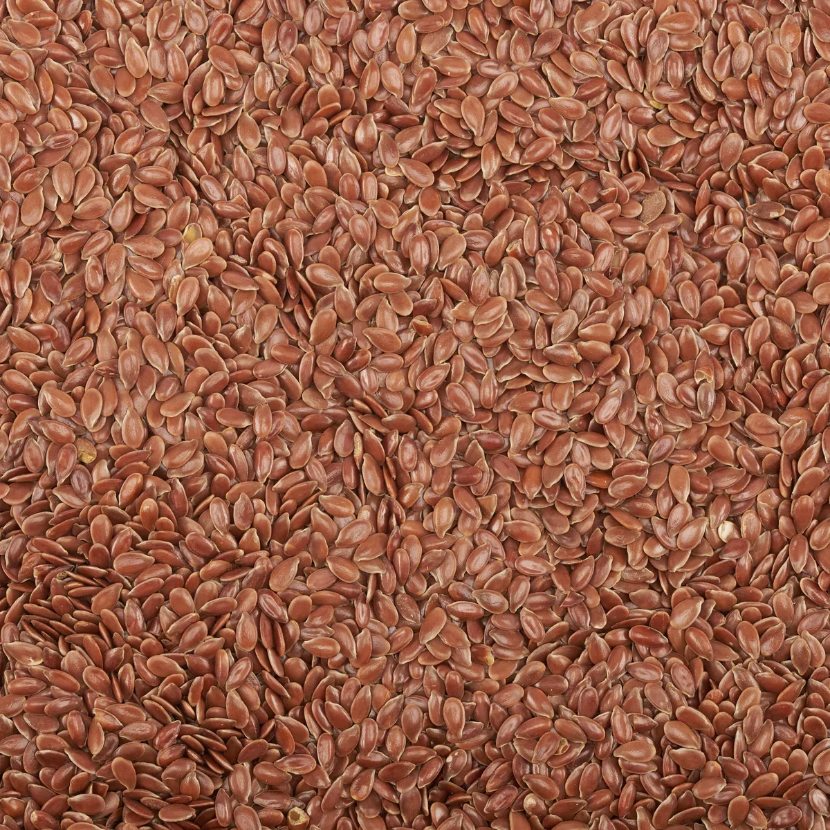 Braun Bio Leinsamen Ganz - 1.5 Kg. Höchster Qualität Leinsamen Bio Nicht Geschrotet Ideal zum Backen Jogurt und Müsli 100% Natürlich und Rein. Reich an Omega 3 und Vegan. Organic Flaxseed.