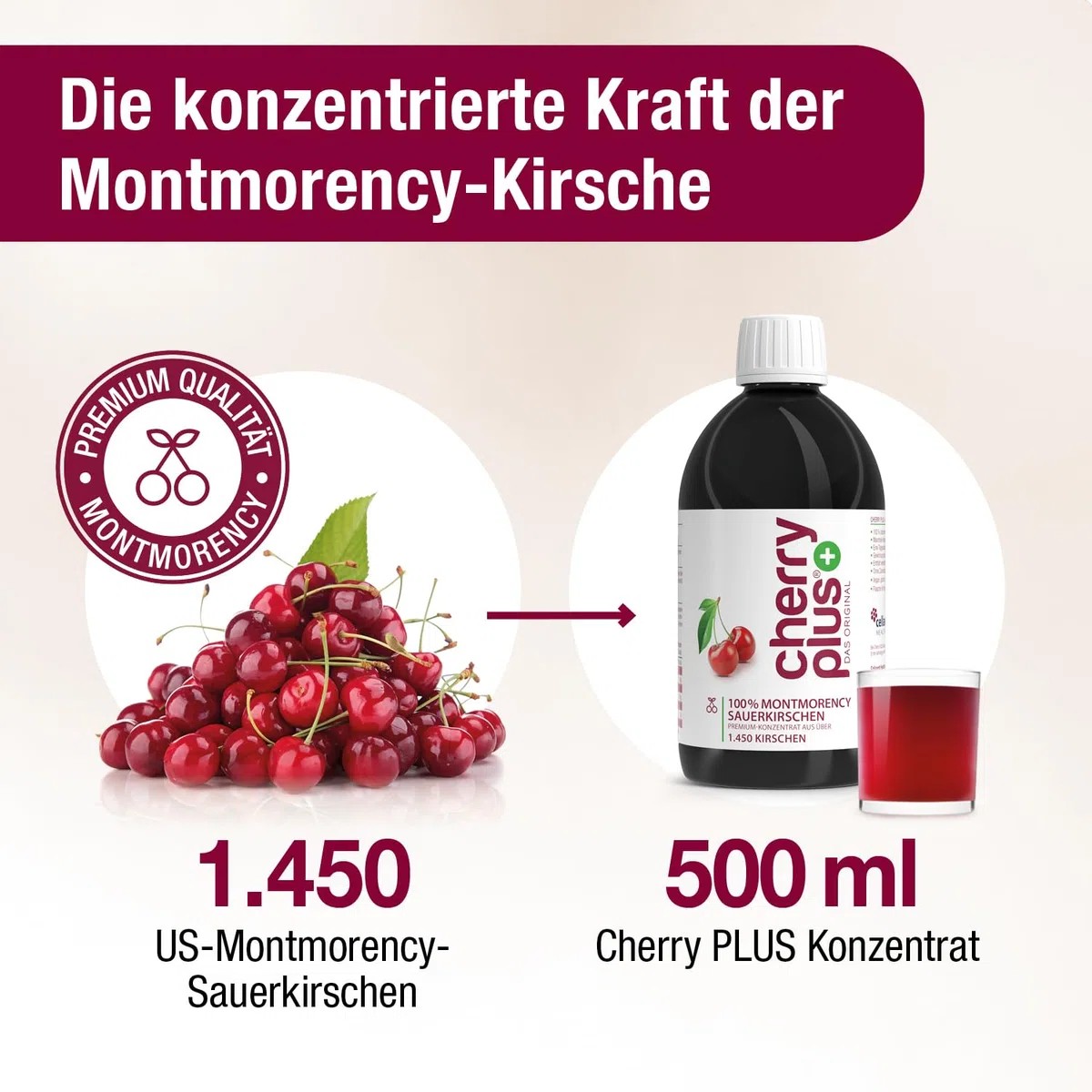 US-Montmorency-Sauerkirsch-Konzentrat – hochkonzentriert – 1.450 Montmorency-Sauerkirschen pro Flasche (500 ml) – Cherry PLUS