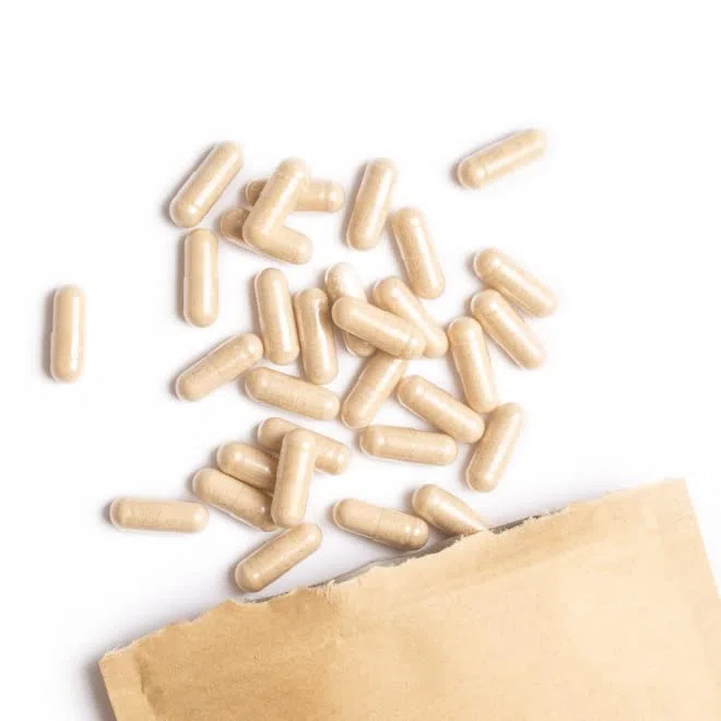 Terra Elements Bio Shatavari Kapseln (400 mg, 150 St) I Indischer Spargel I Pflanzliche Zellulose I 100% rein I Vegan I Rohkost