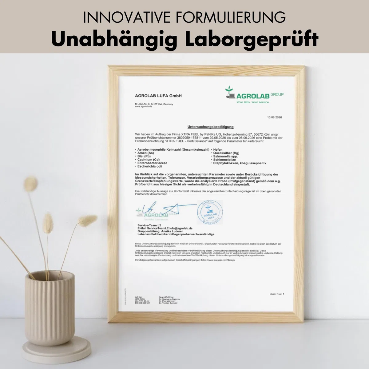 Cortisol Balance - 180 Kapseln (hochdosiert) – mit Ashwagandha, Rhodiola Rosea, Magnesium, Vitamin C, B5 & B6 – vegan, zertifiziert & laborgeprüft - Corti Balance